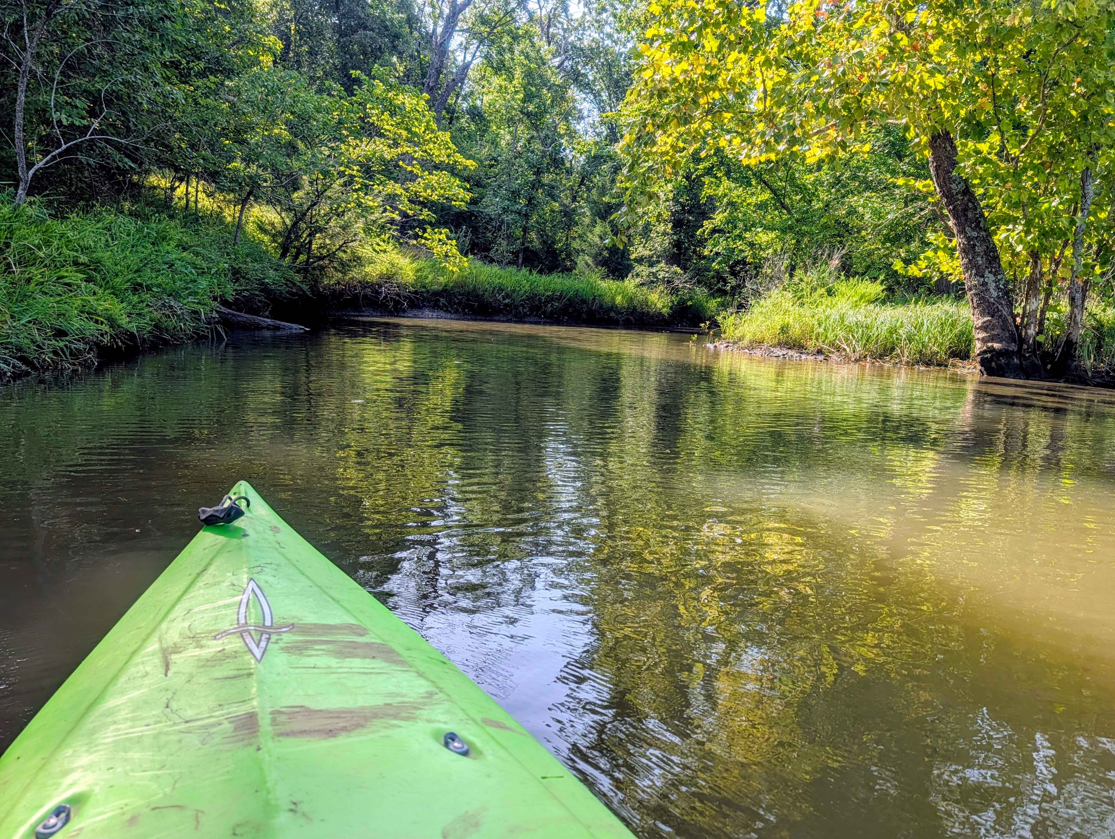 Cove into creek