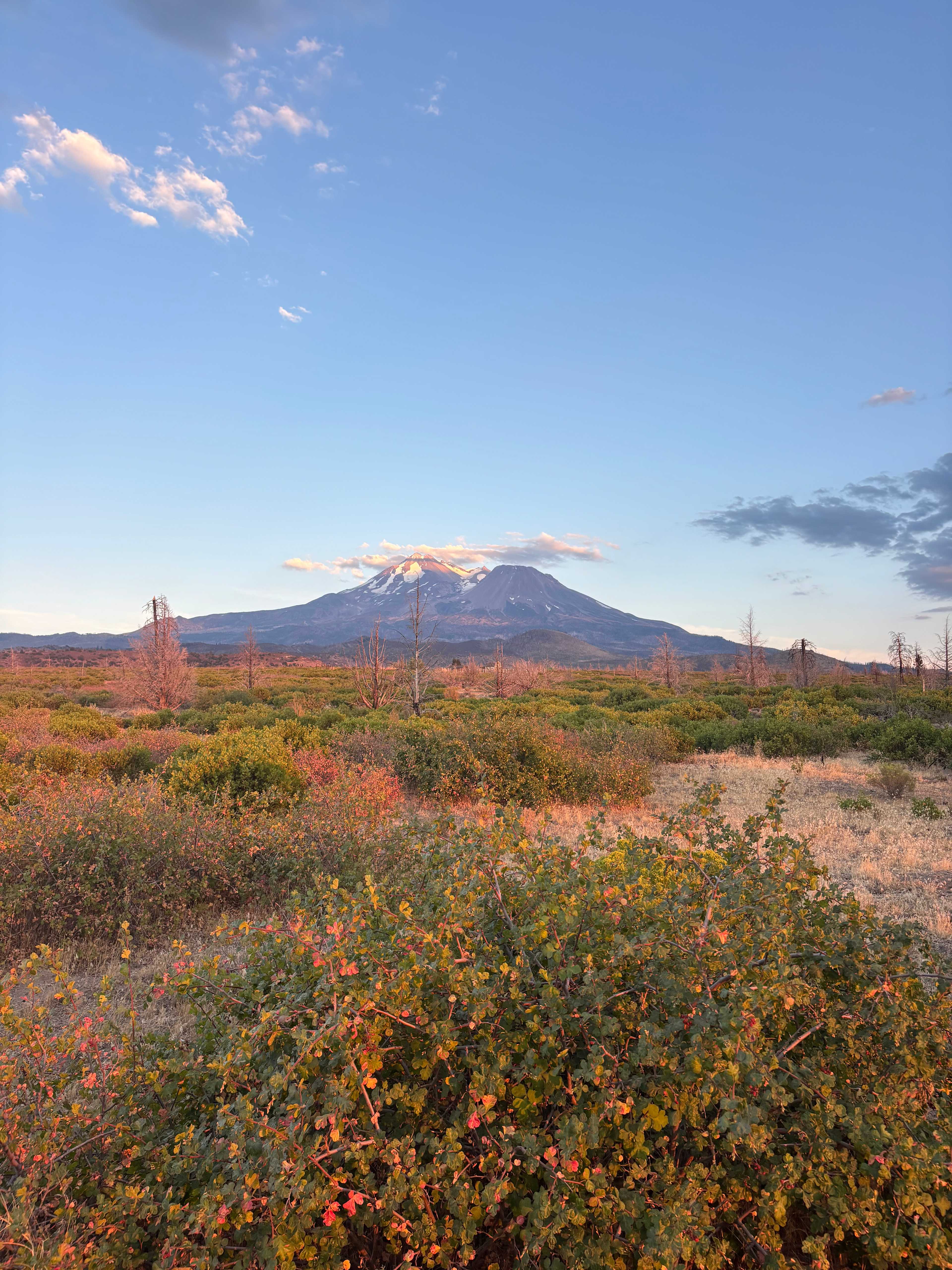 Juniper Valley Campsites