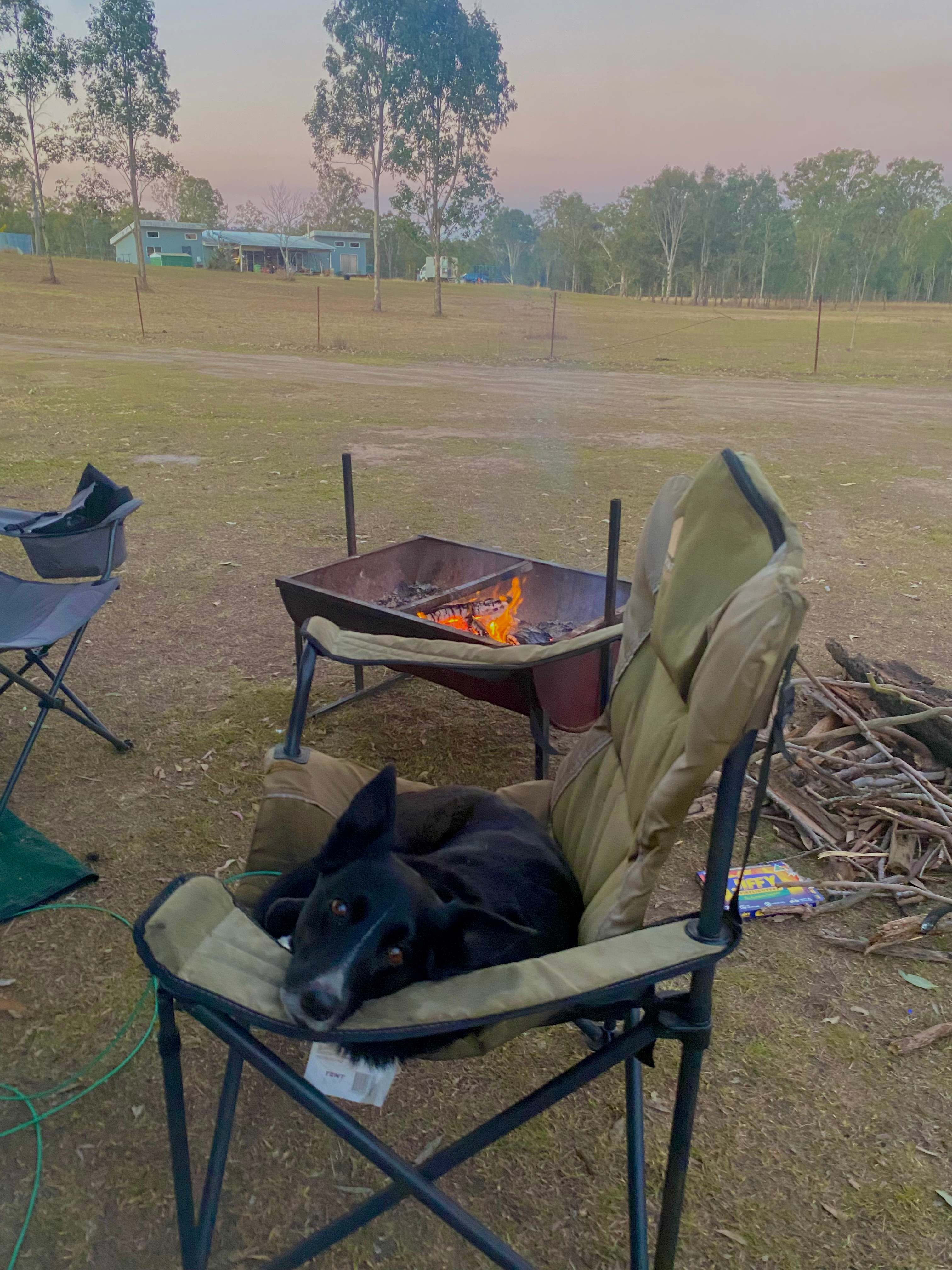 Lovely spot for dogs. Soo much space