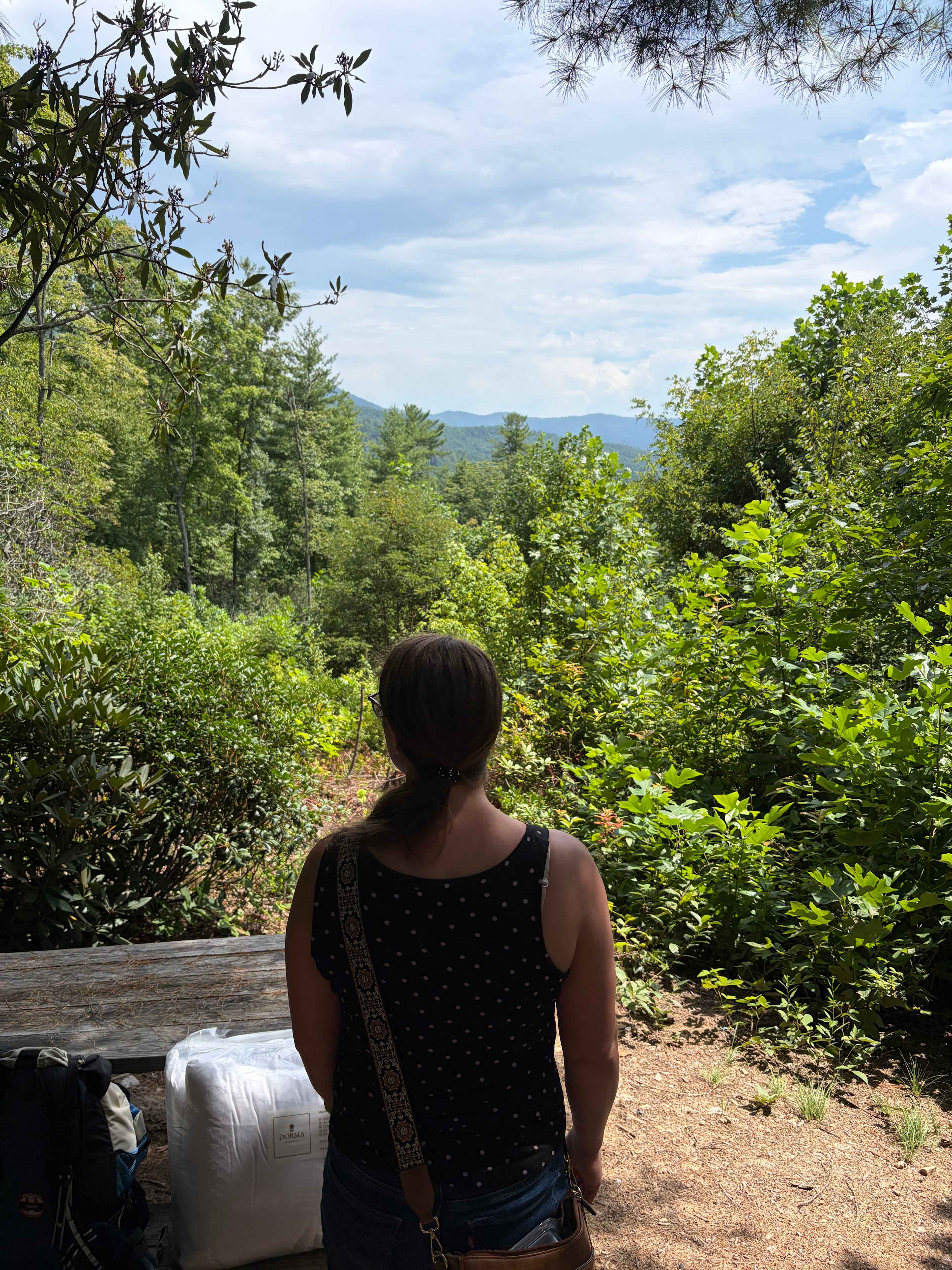 View from the site