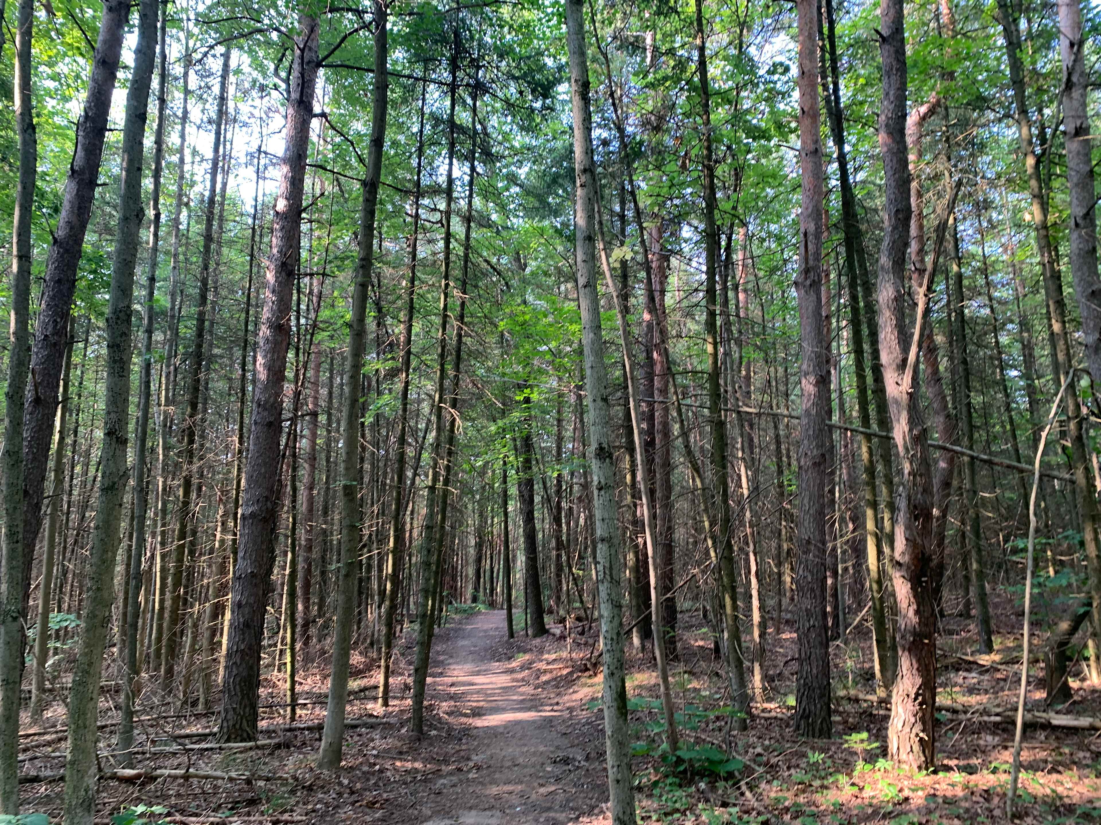 Uxbridge trails