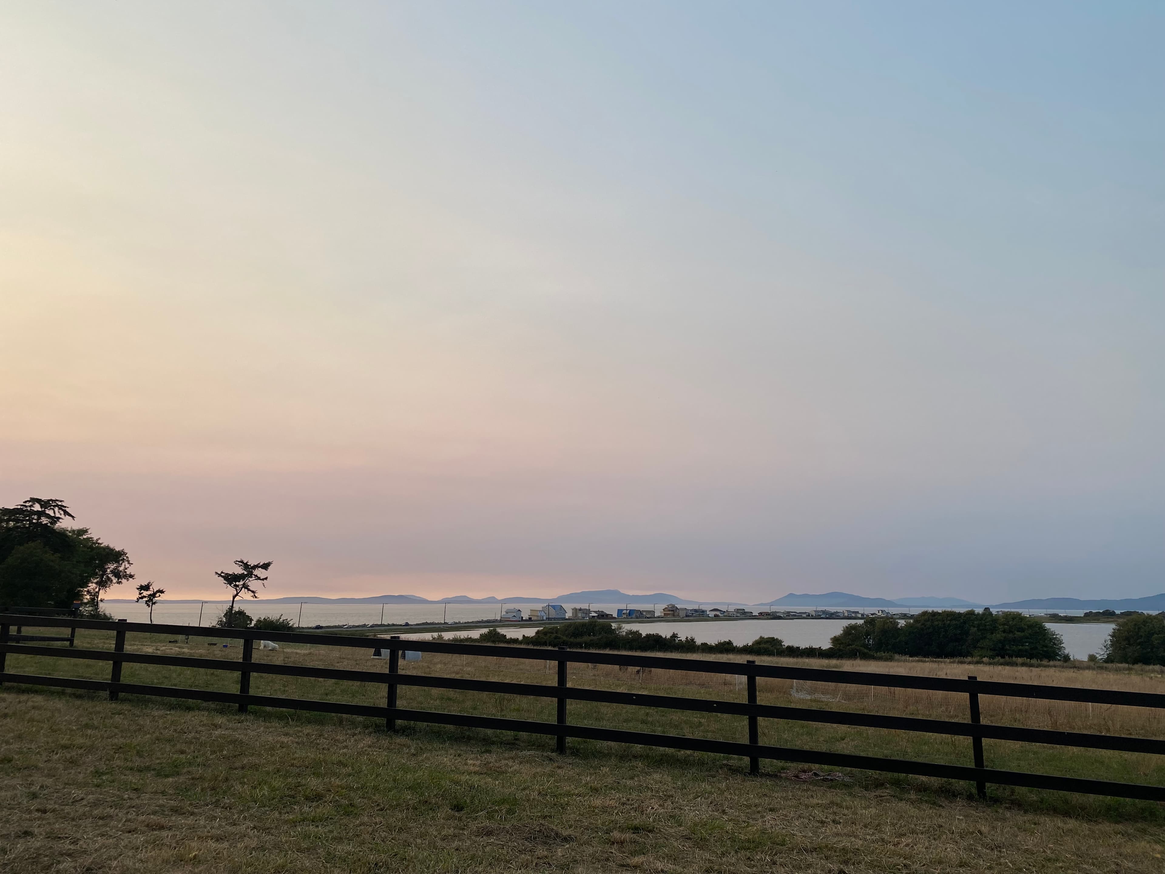 Whidbey Highland Farm