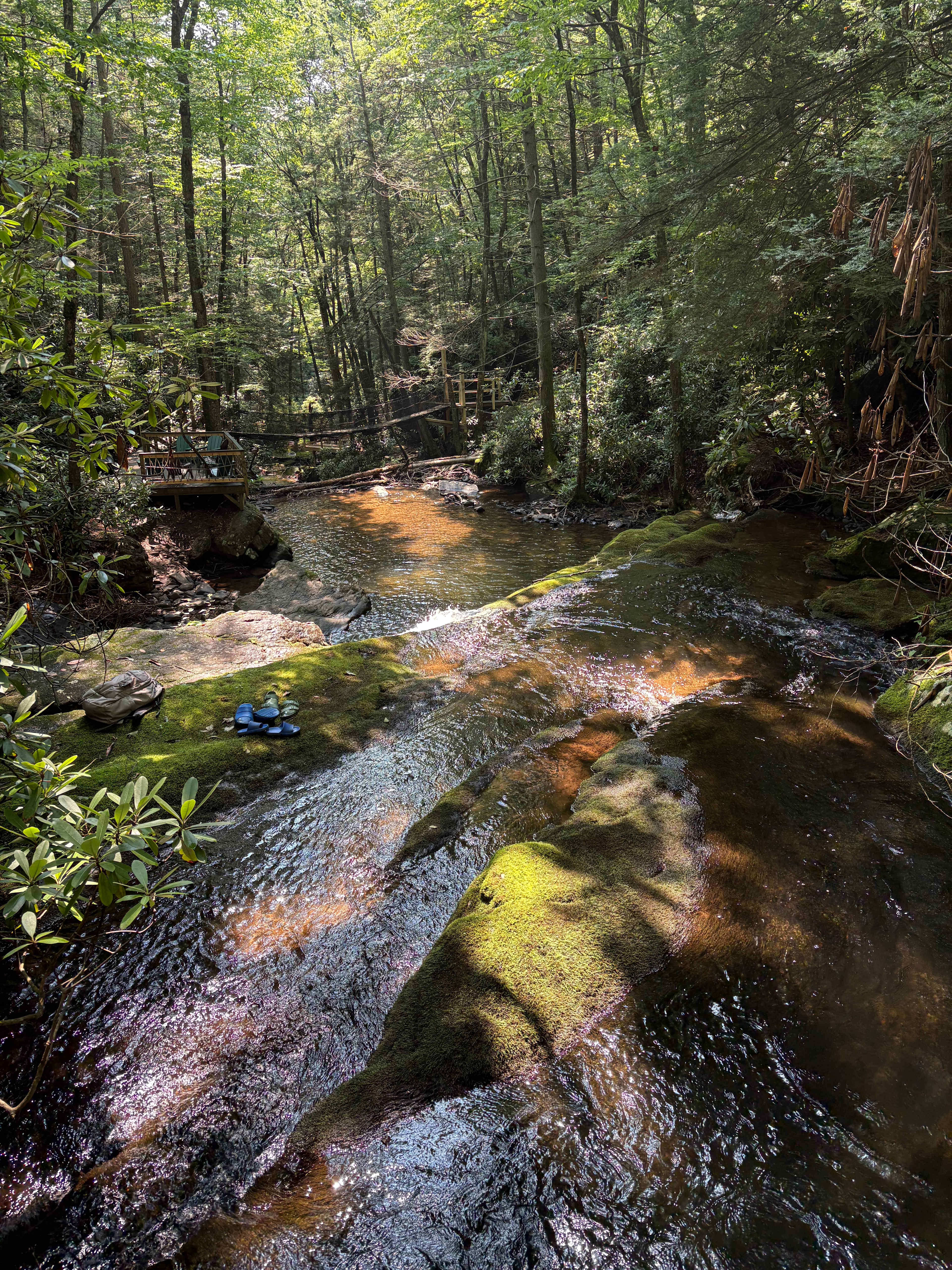 Camp Dietrich on Bear Creek