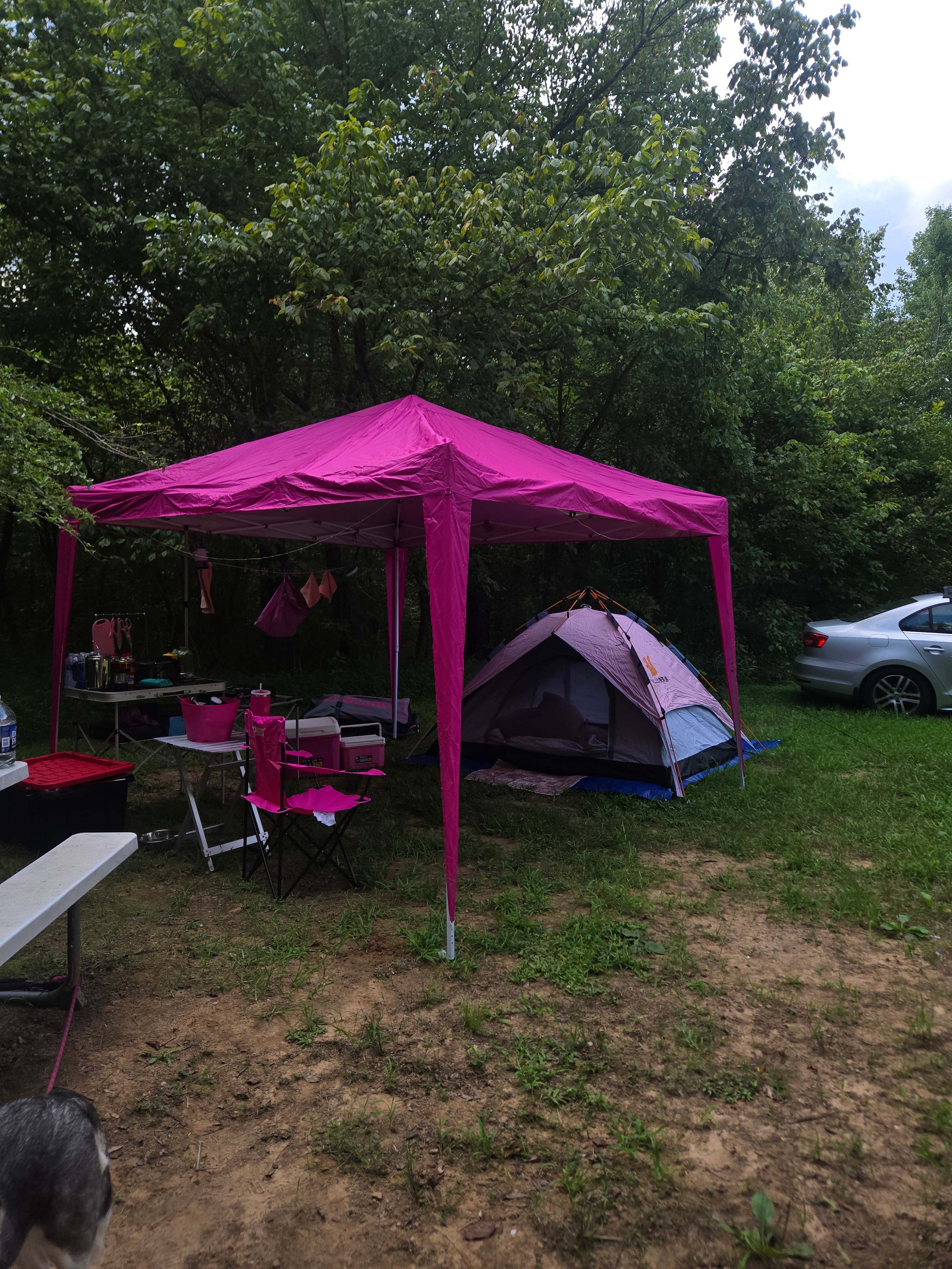 The Oasis at Harmon Creek Farms