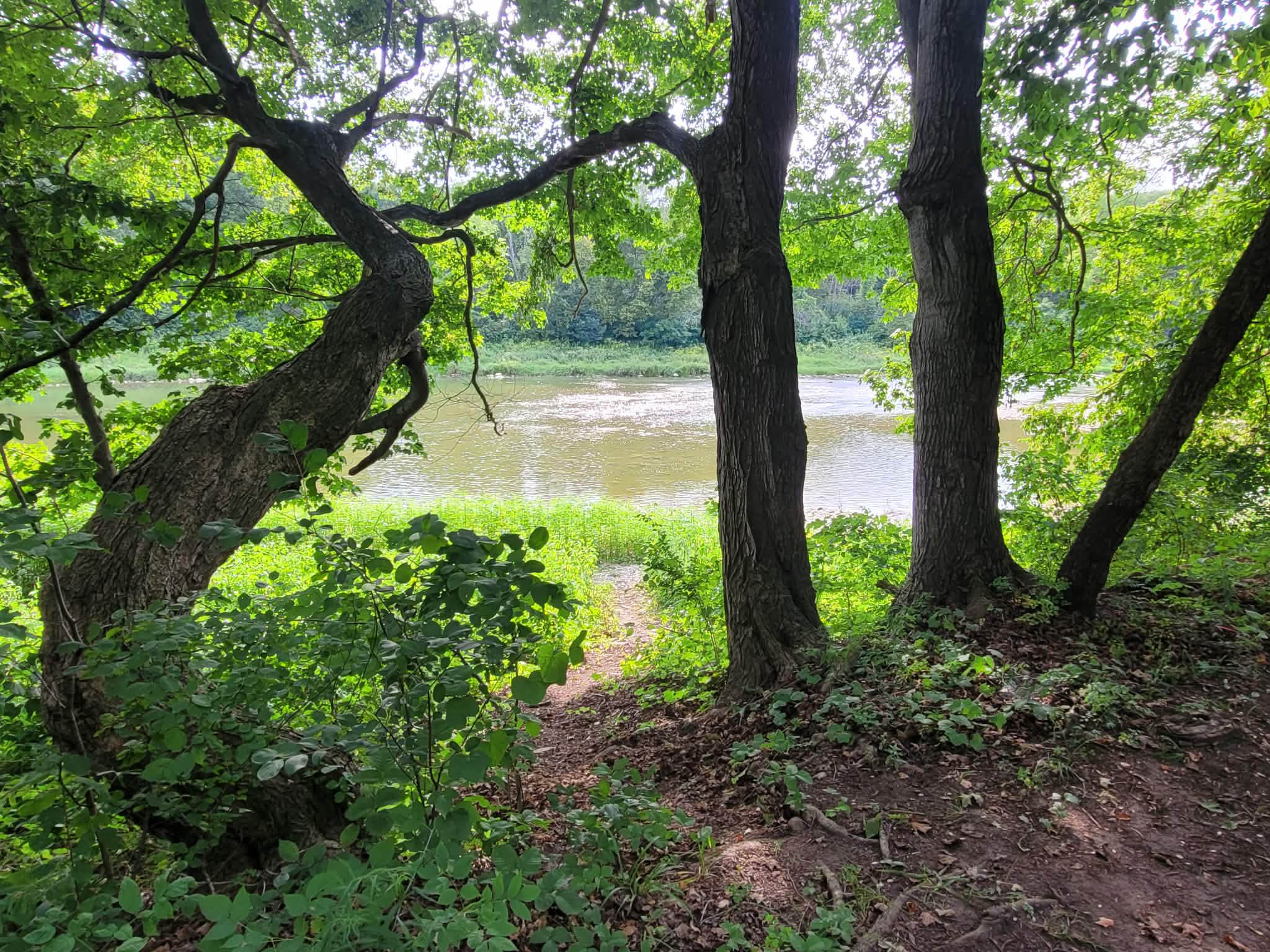 Picture of the site