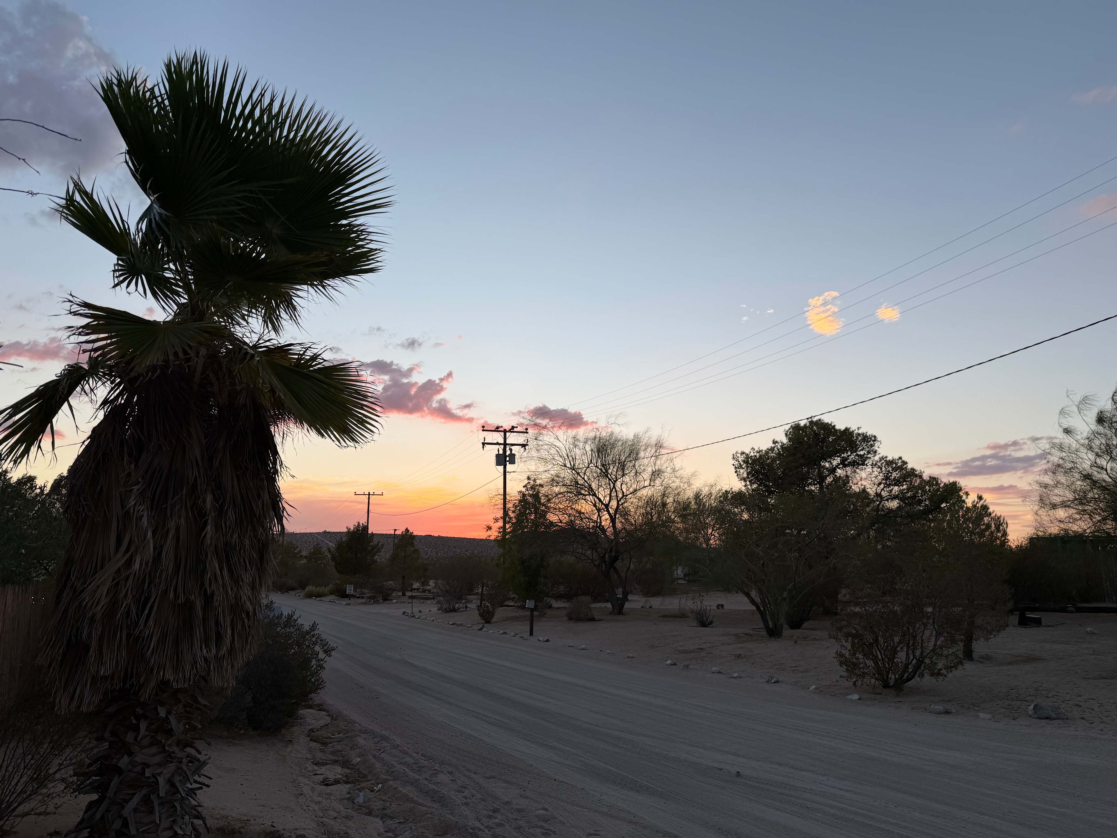 Joshua Tree Lake RV & Campground