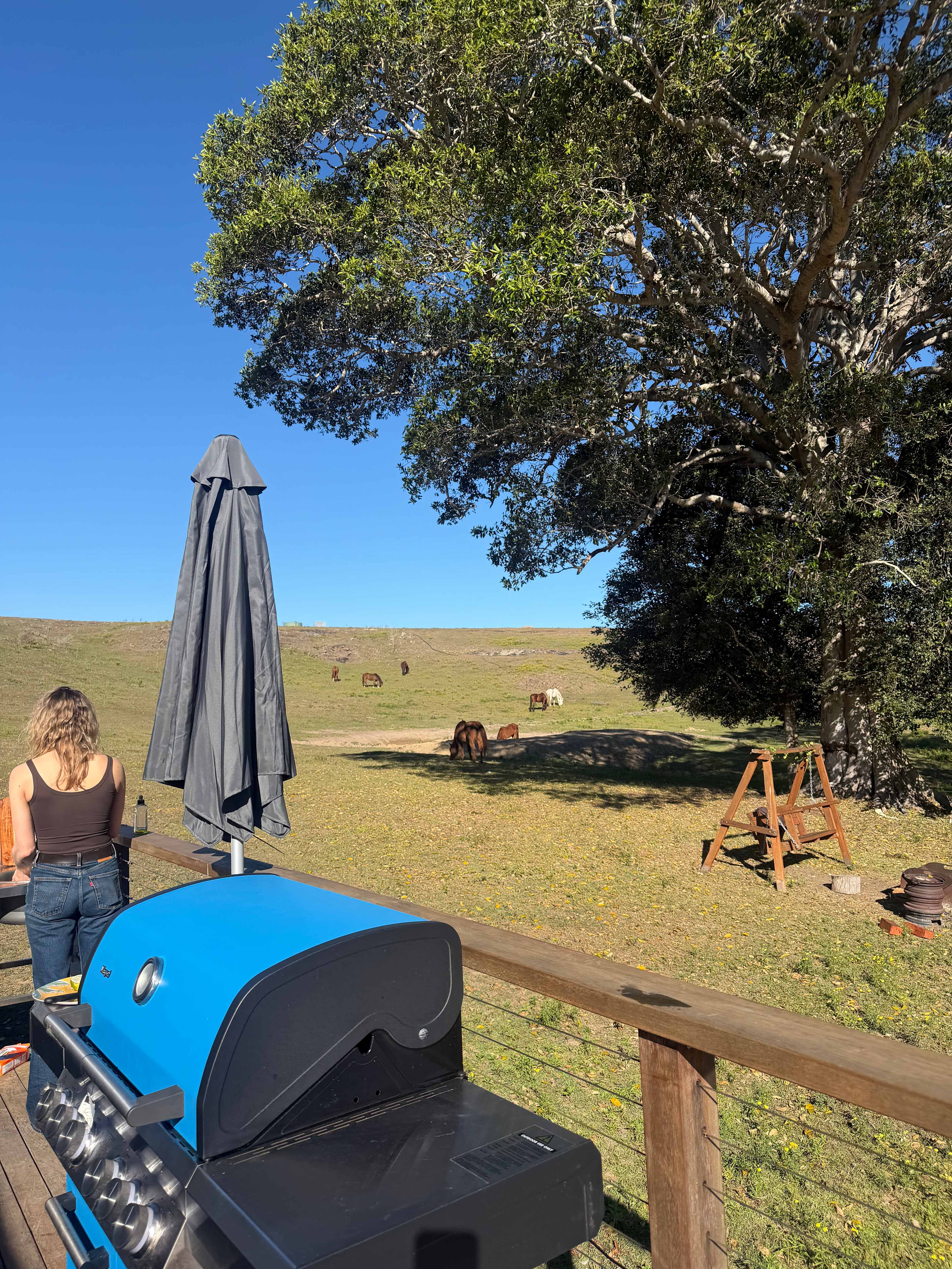 Clarence Riverview Lodge Glamping