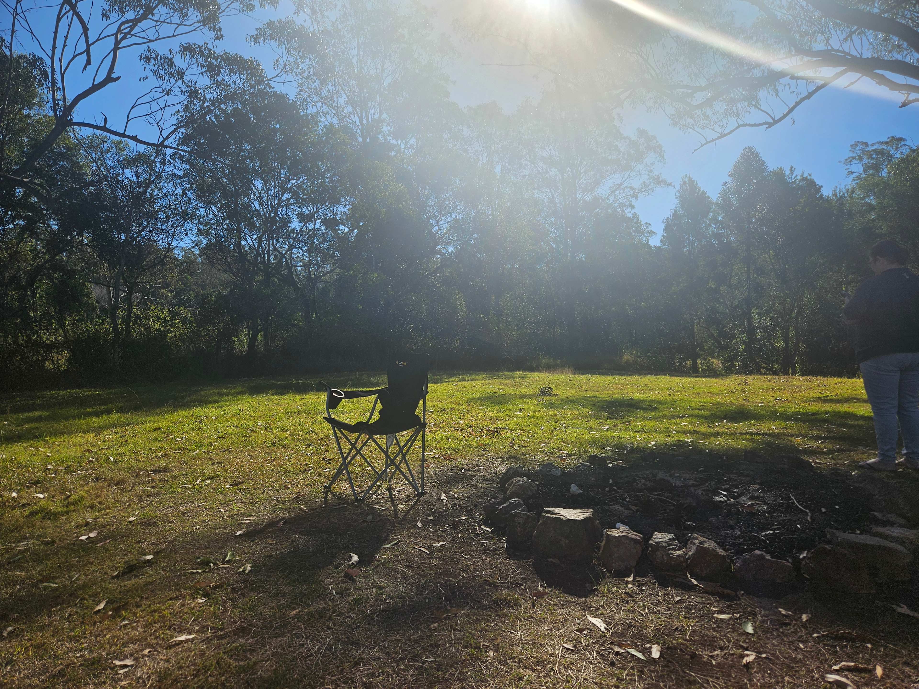 Bunya Grove