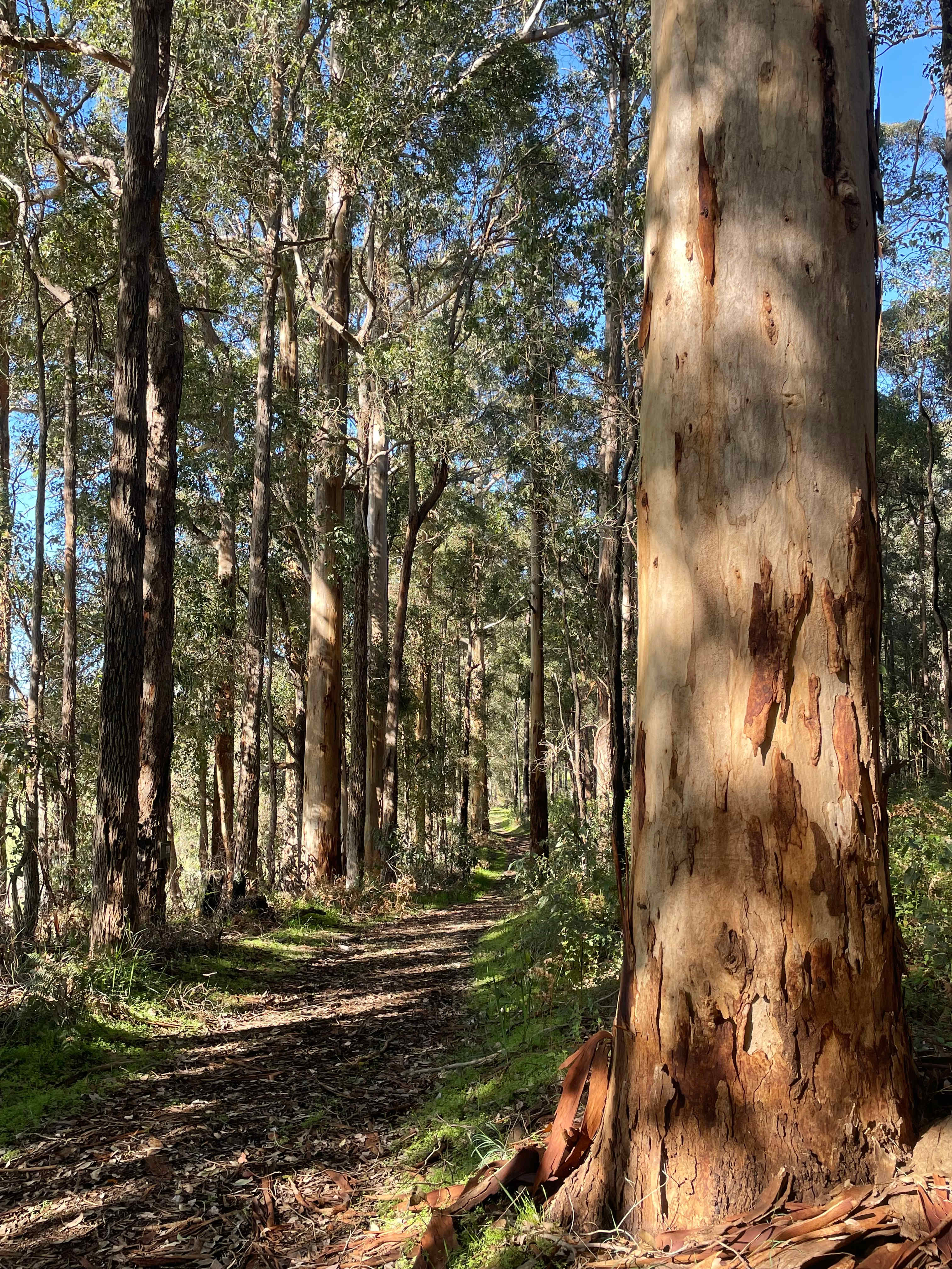 Highway Hideaway - Manjimup