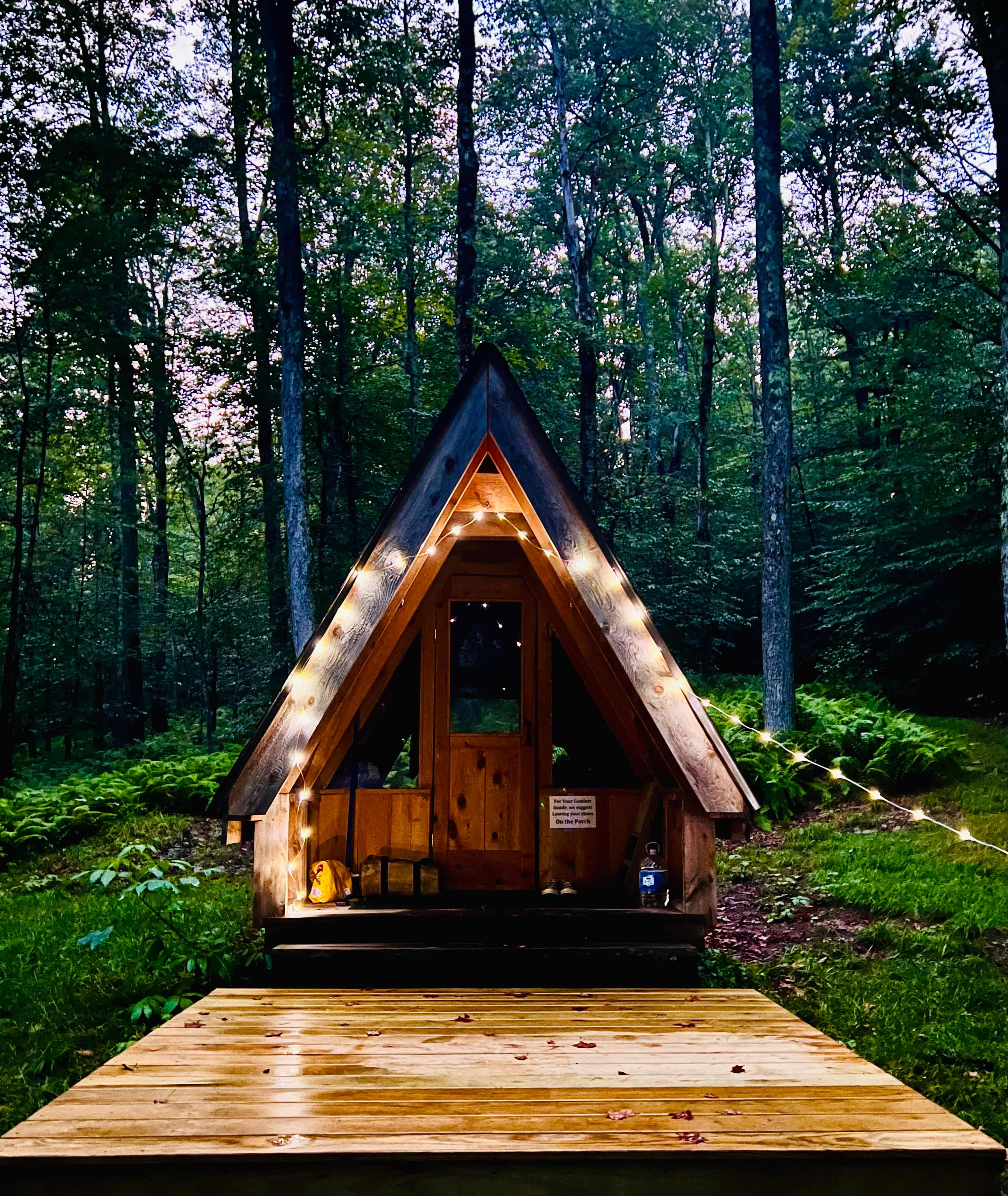 Burr Oaks Forest secluded campsites