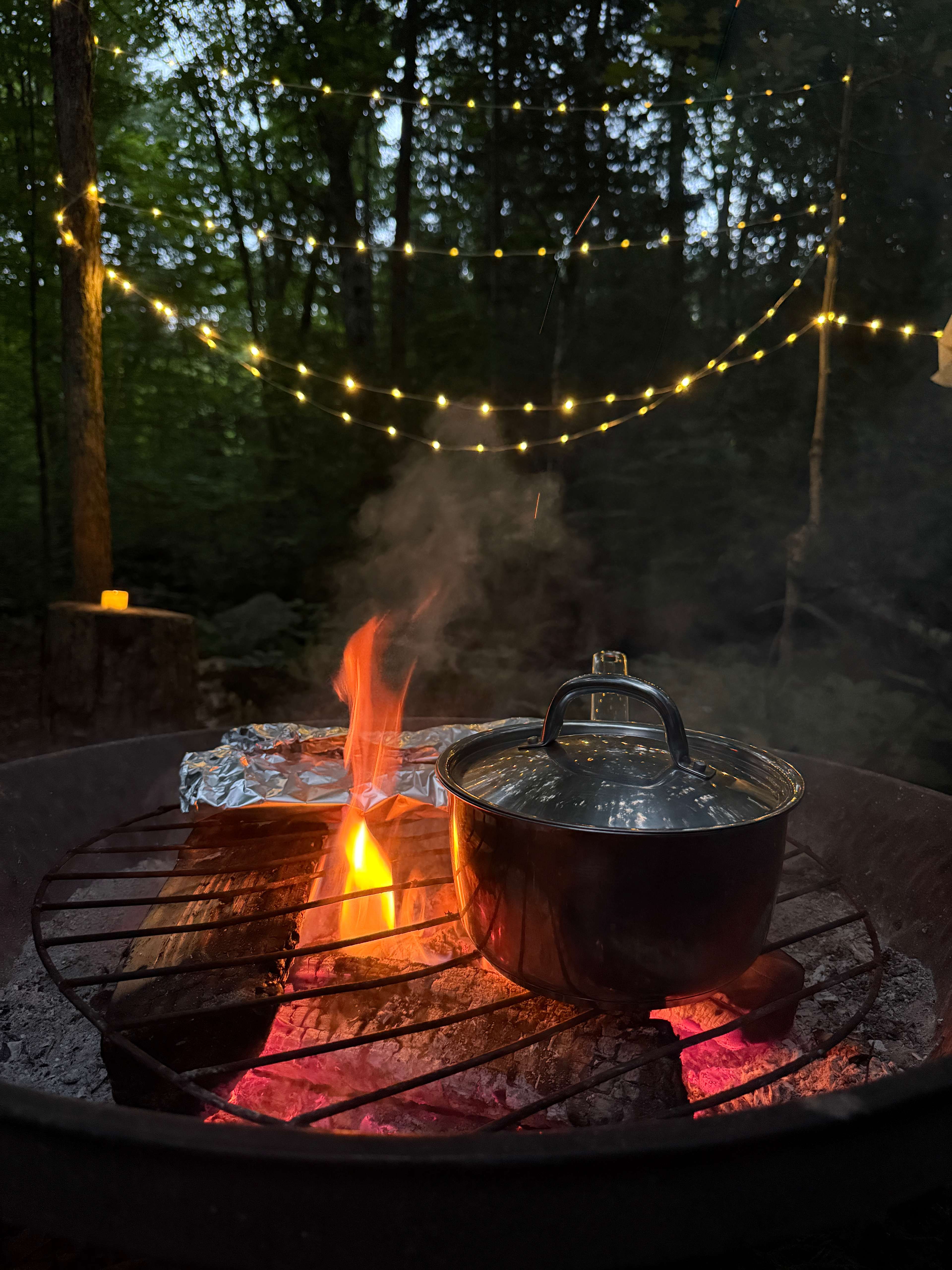Dobedo Camps