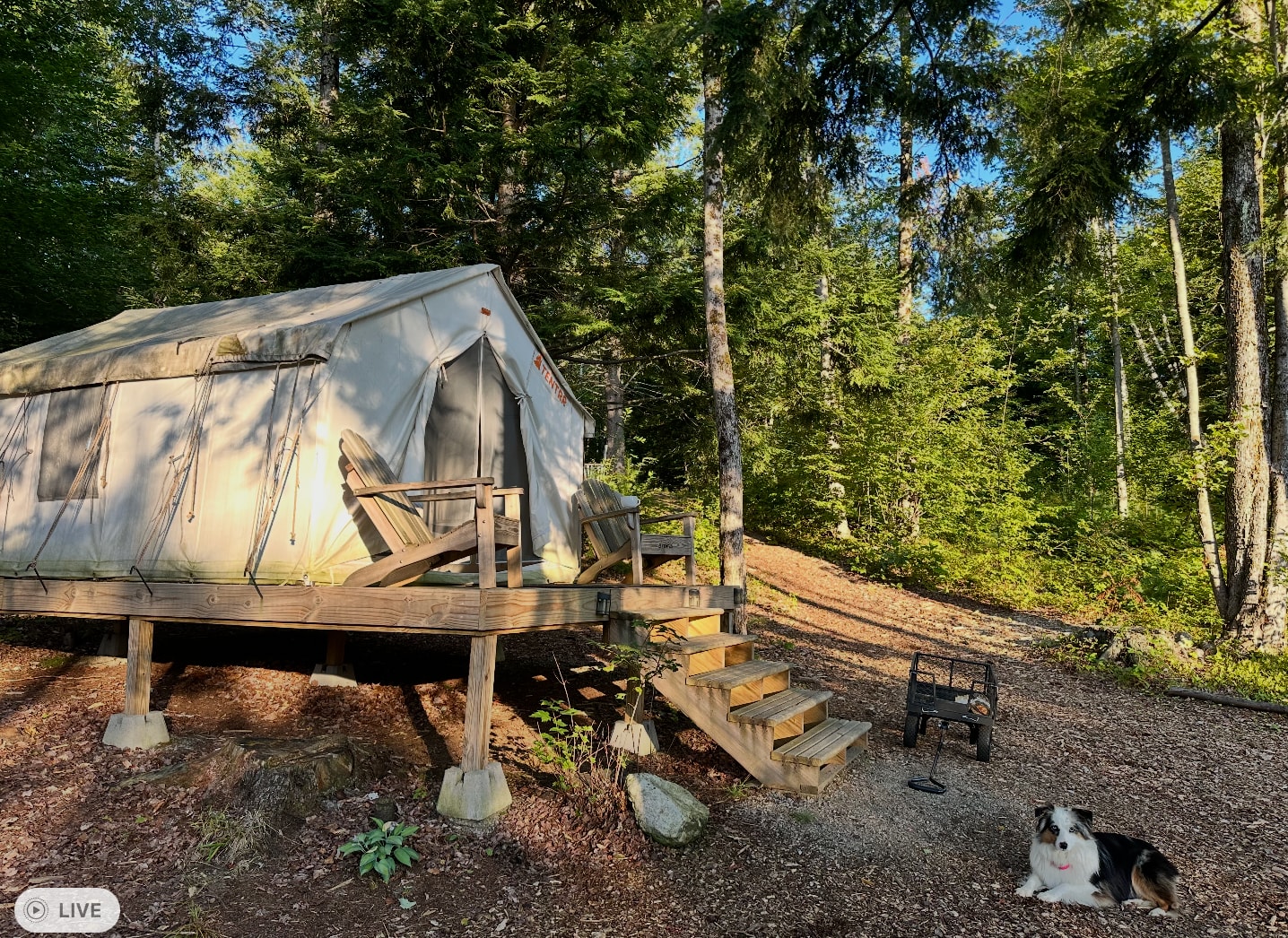 Private Mountainside Forest Retreat