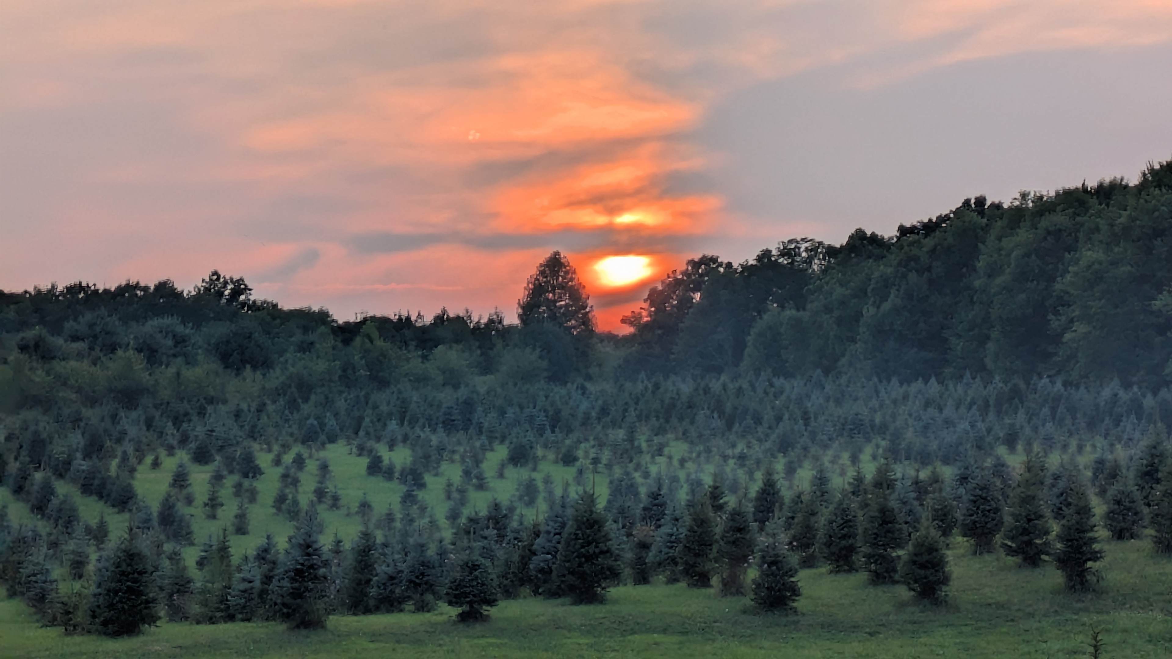 Camping at Heritage Farms