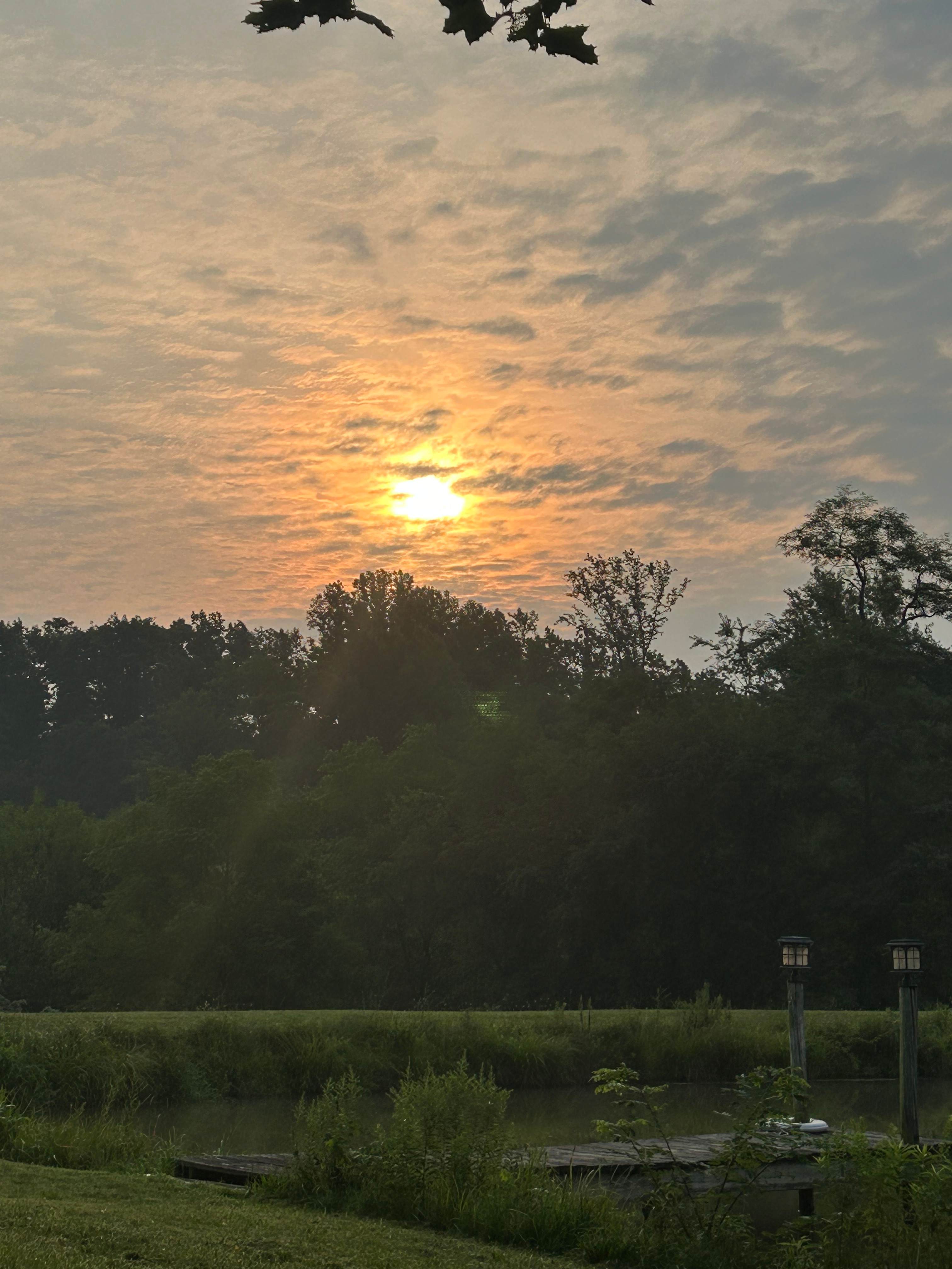 Views of woods, pond, and sunrise