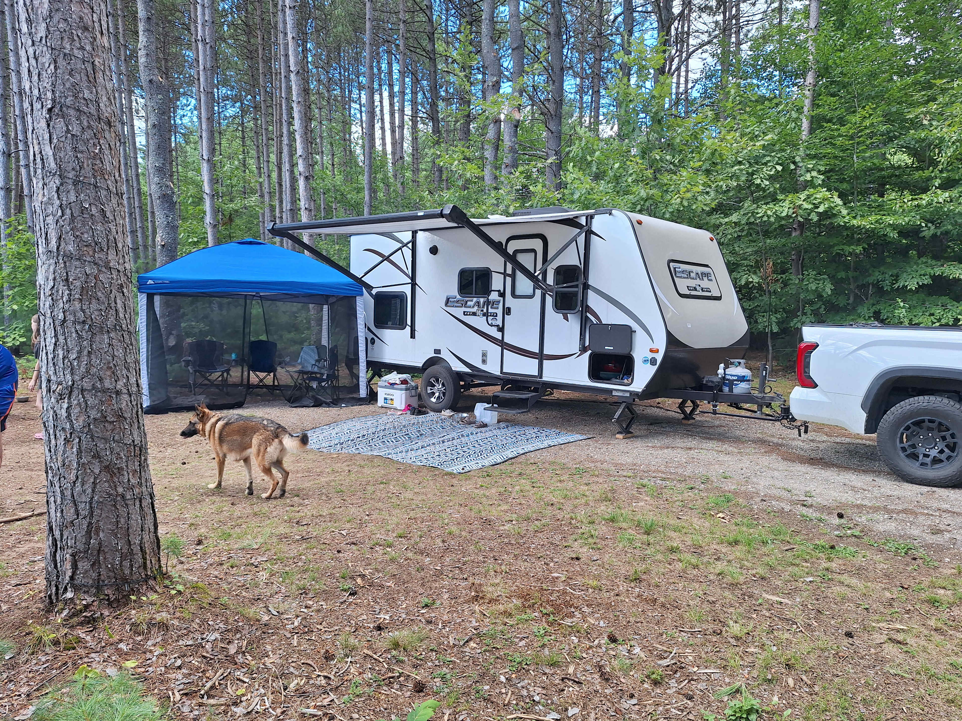 Eagle View Pines