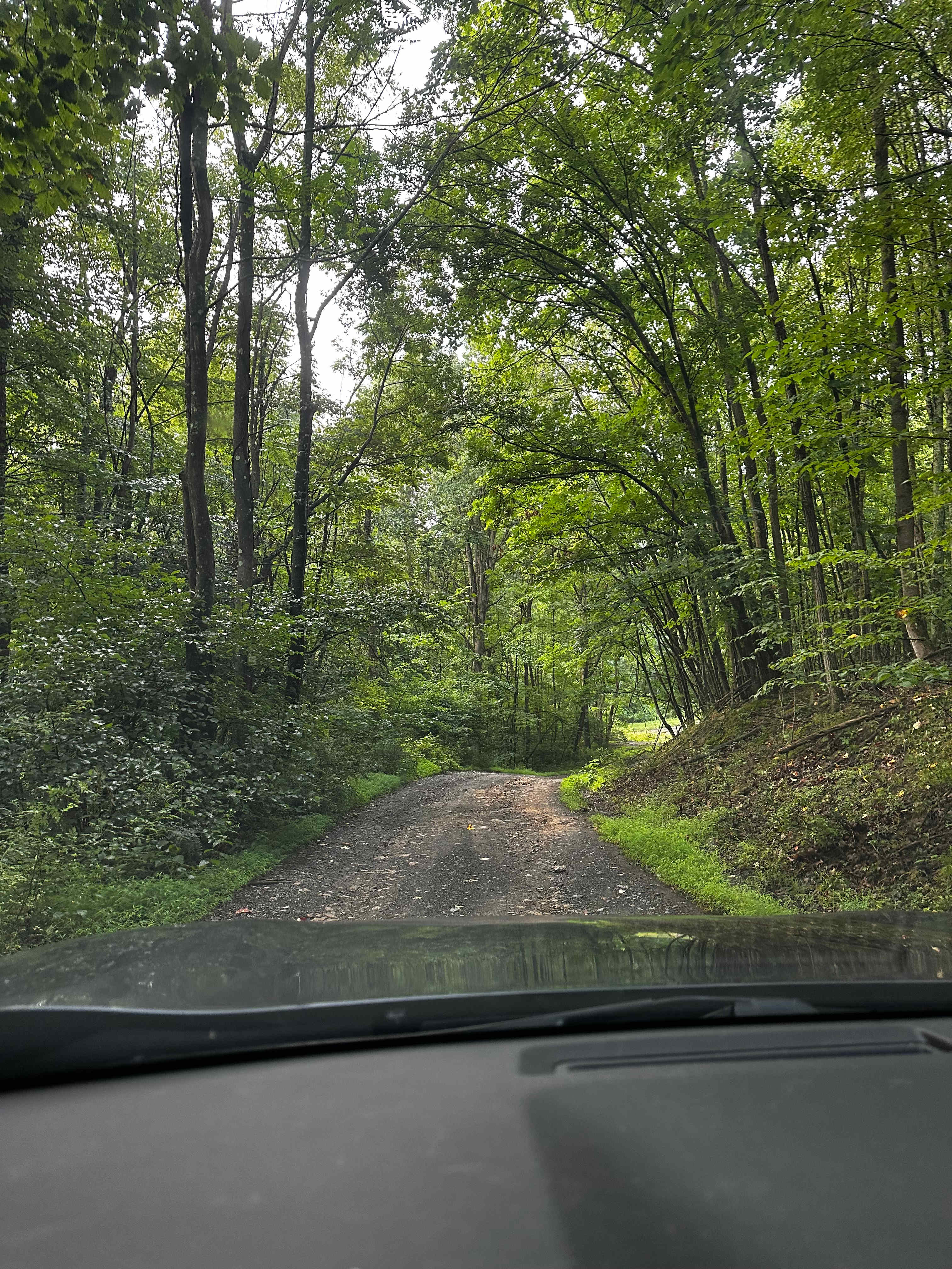 road in/out