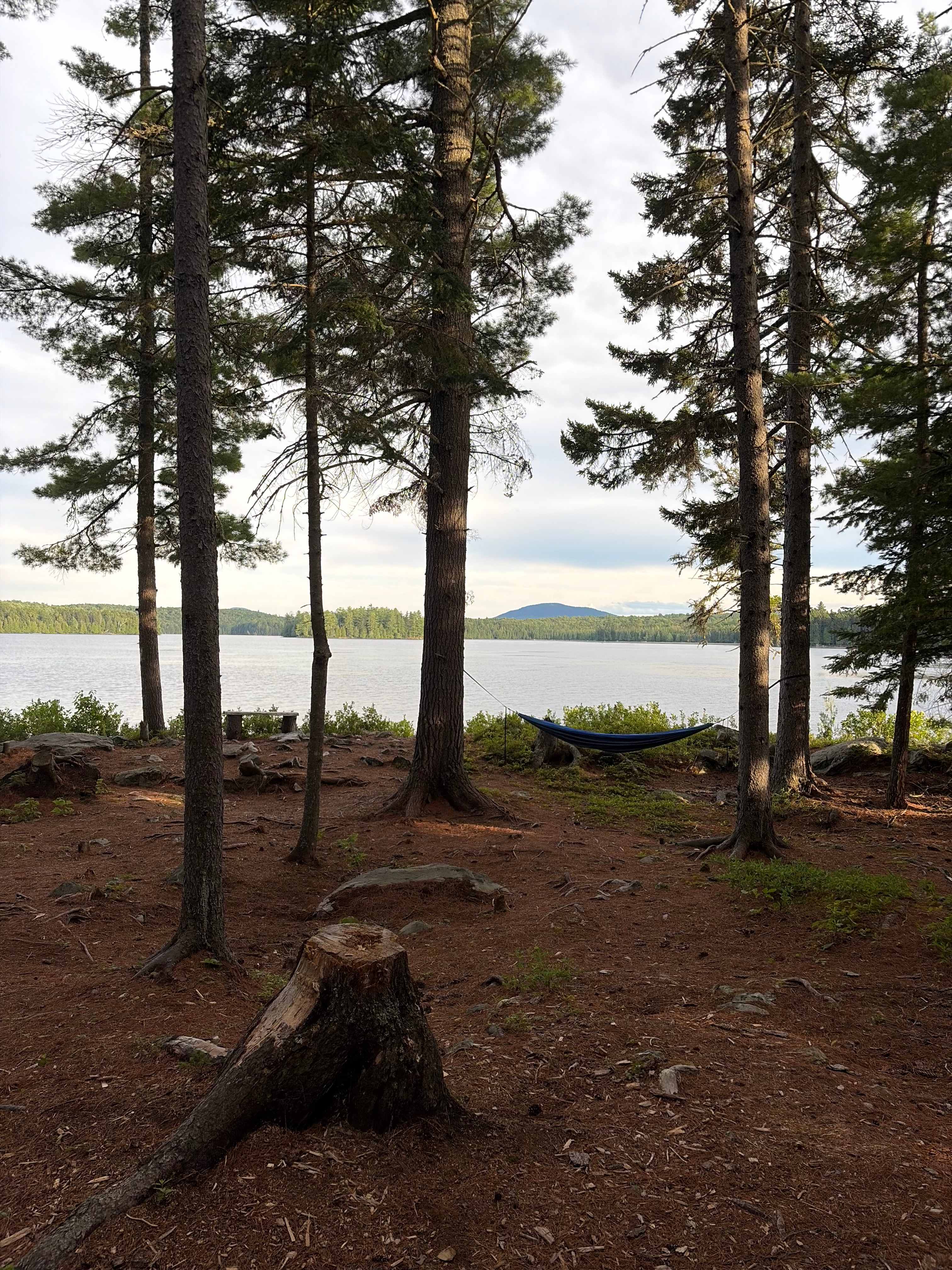 Evergreen Conservation Area