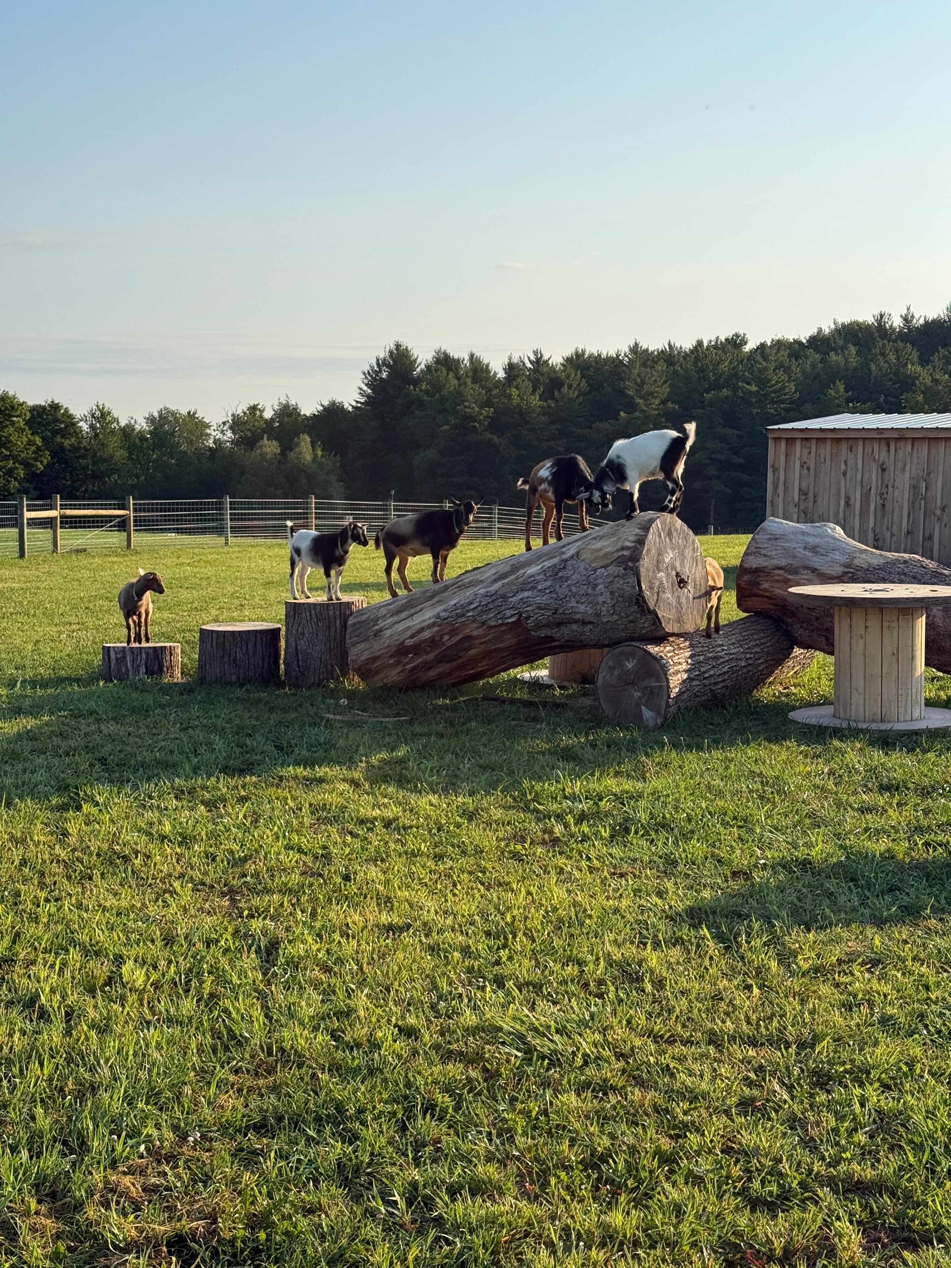 Tilden Hill Farm