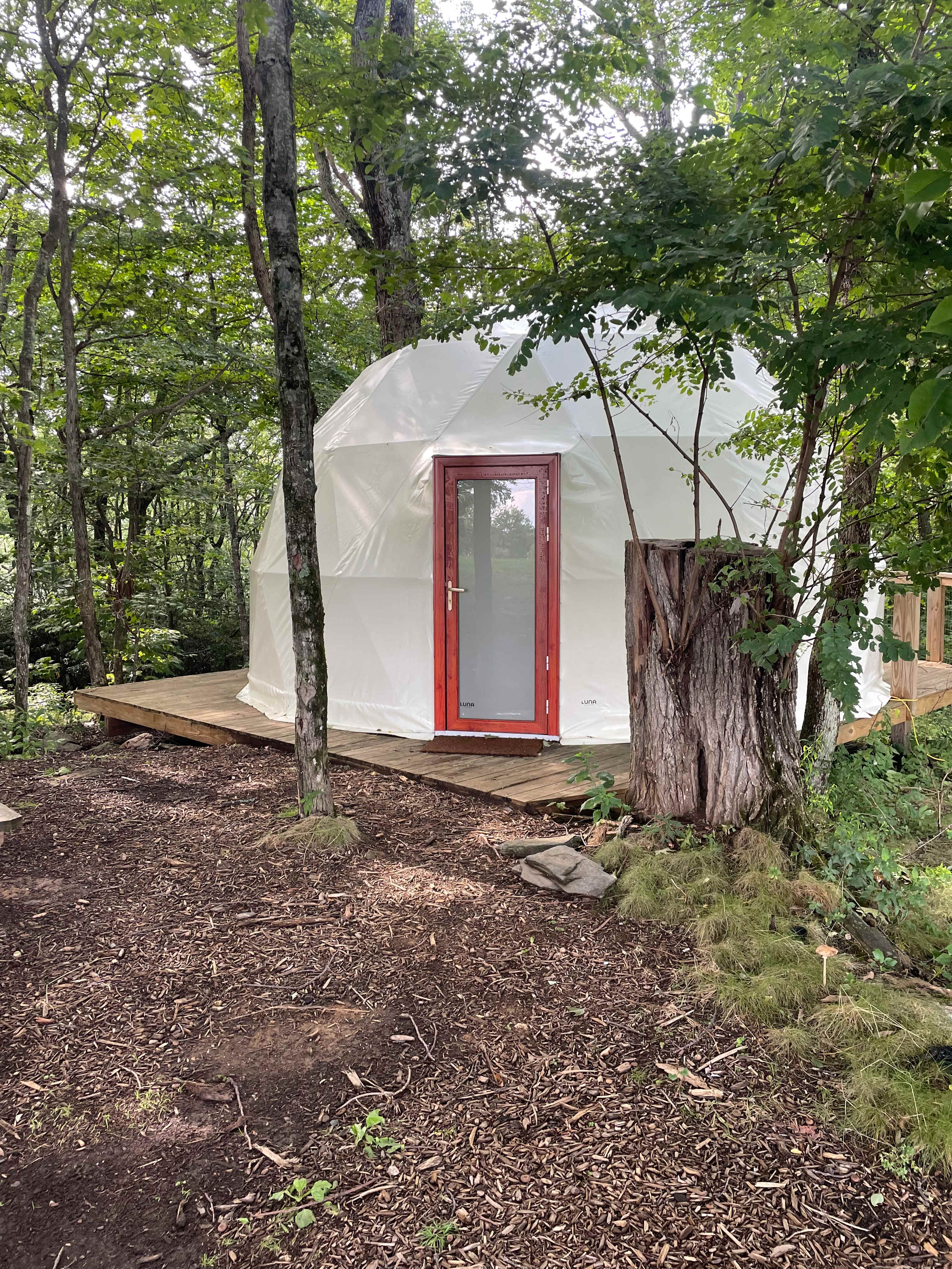 Blue Bear Mountain Camp