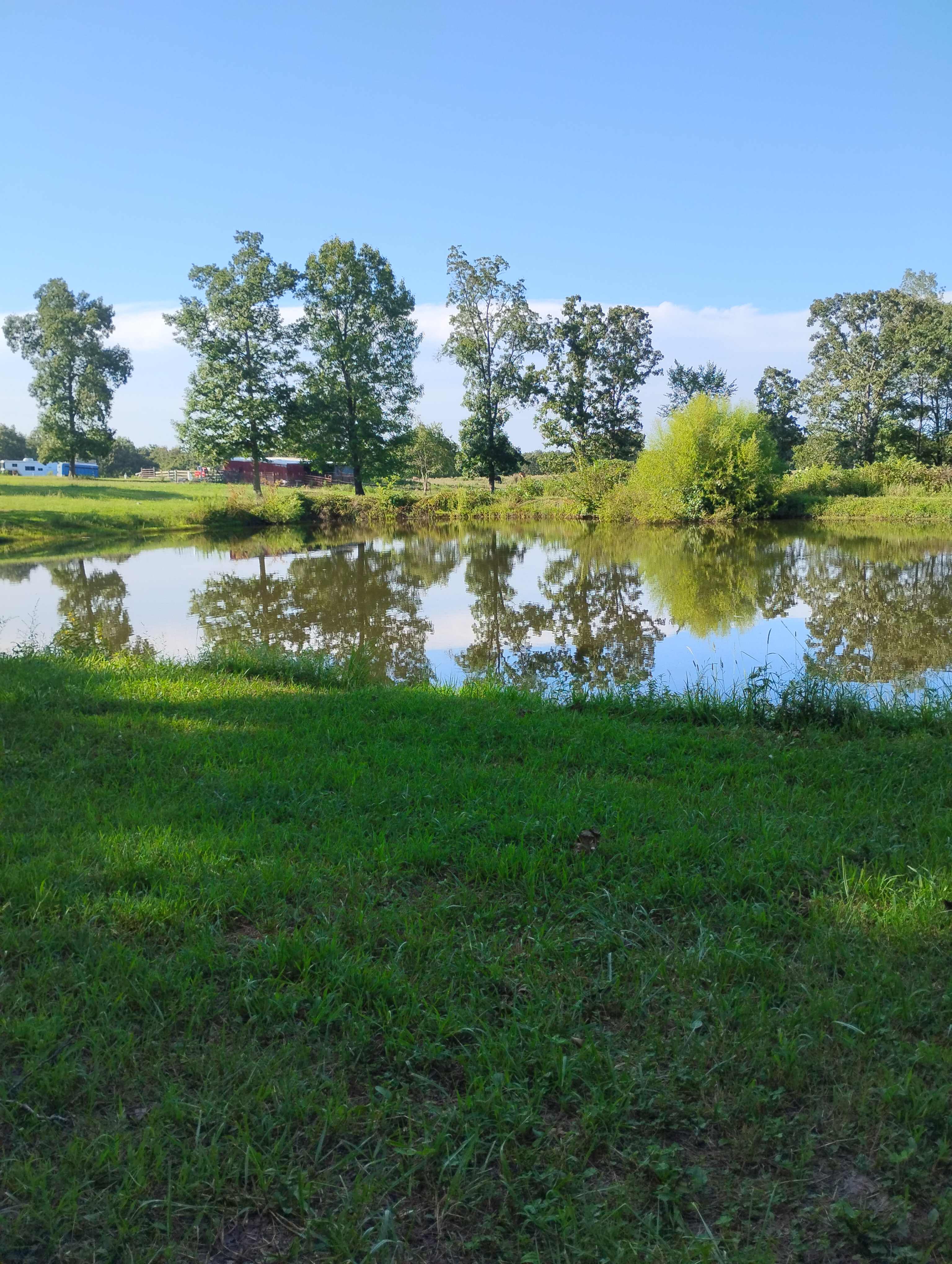 Beautiful day on the farm 