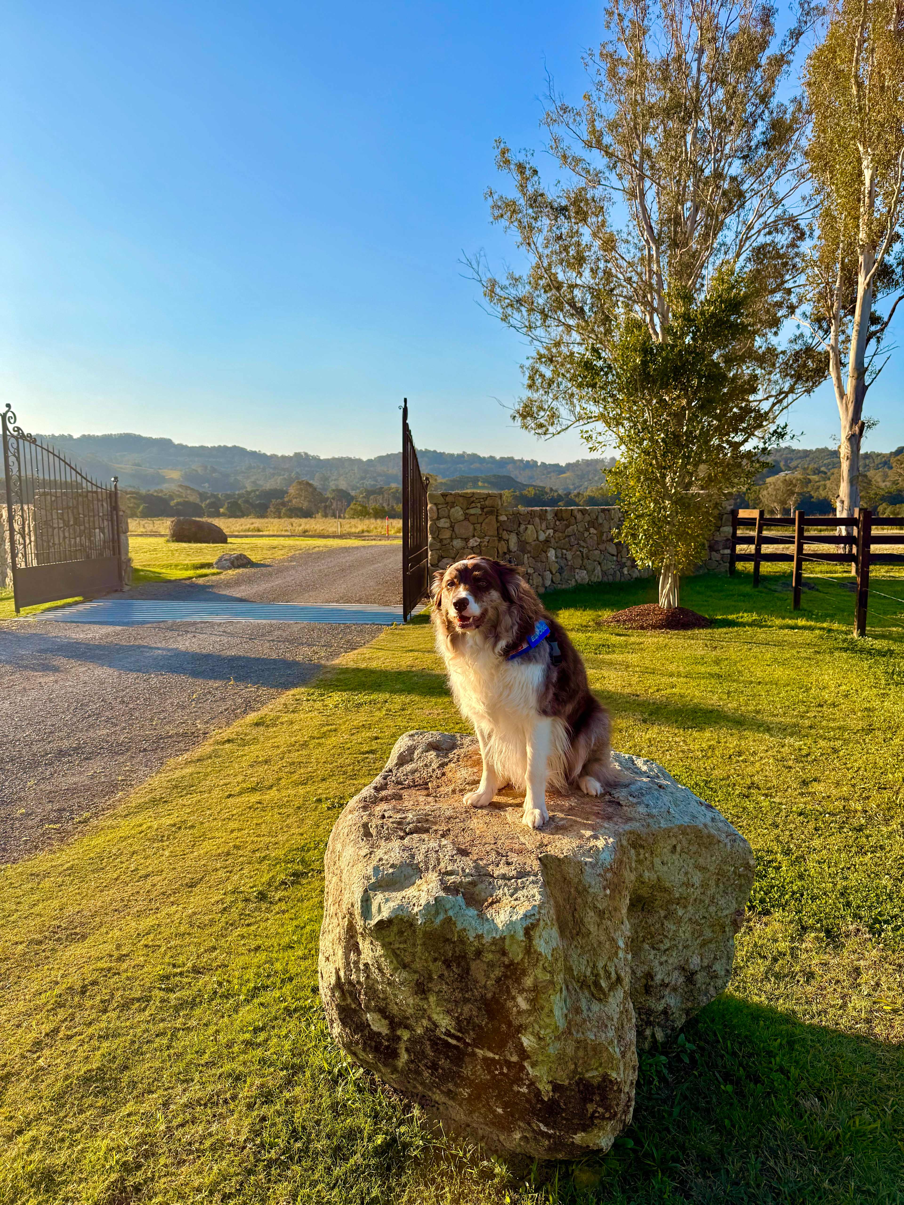 Eerwah Vale Mountain Park Noosa