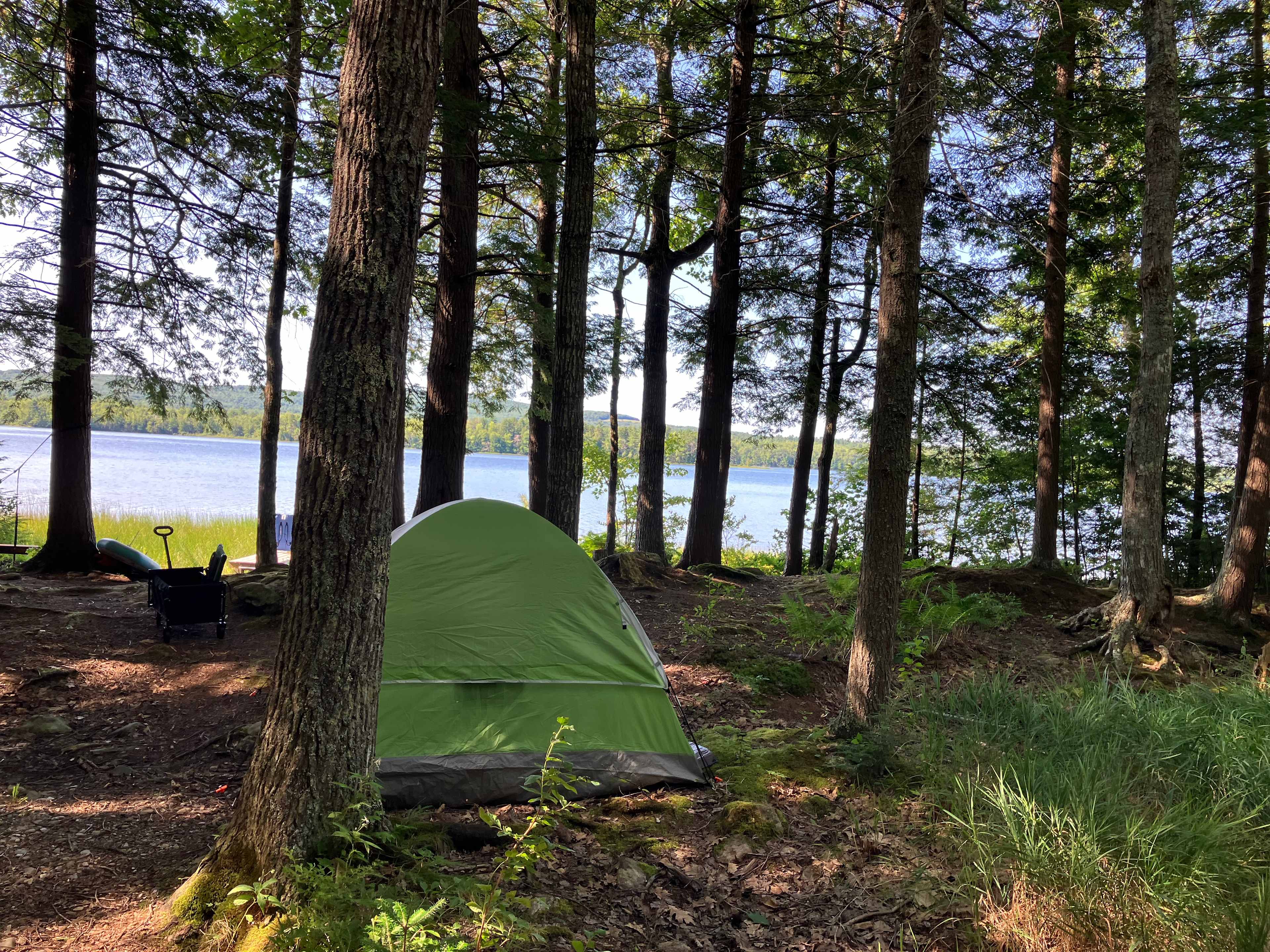 Cabin of the Woods at Tilden Pond