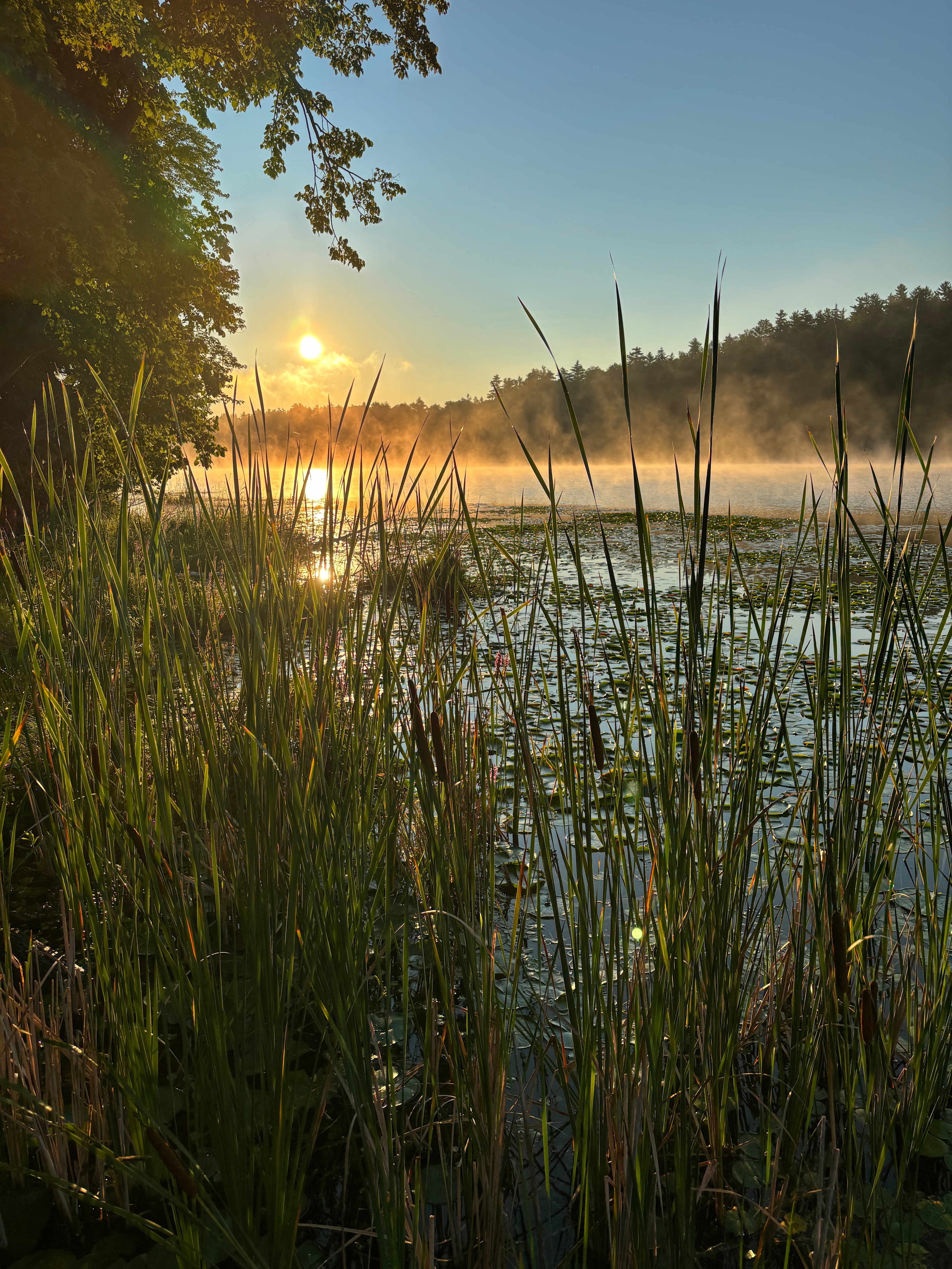 Fagan Lake Heights