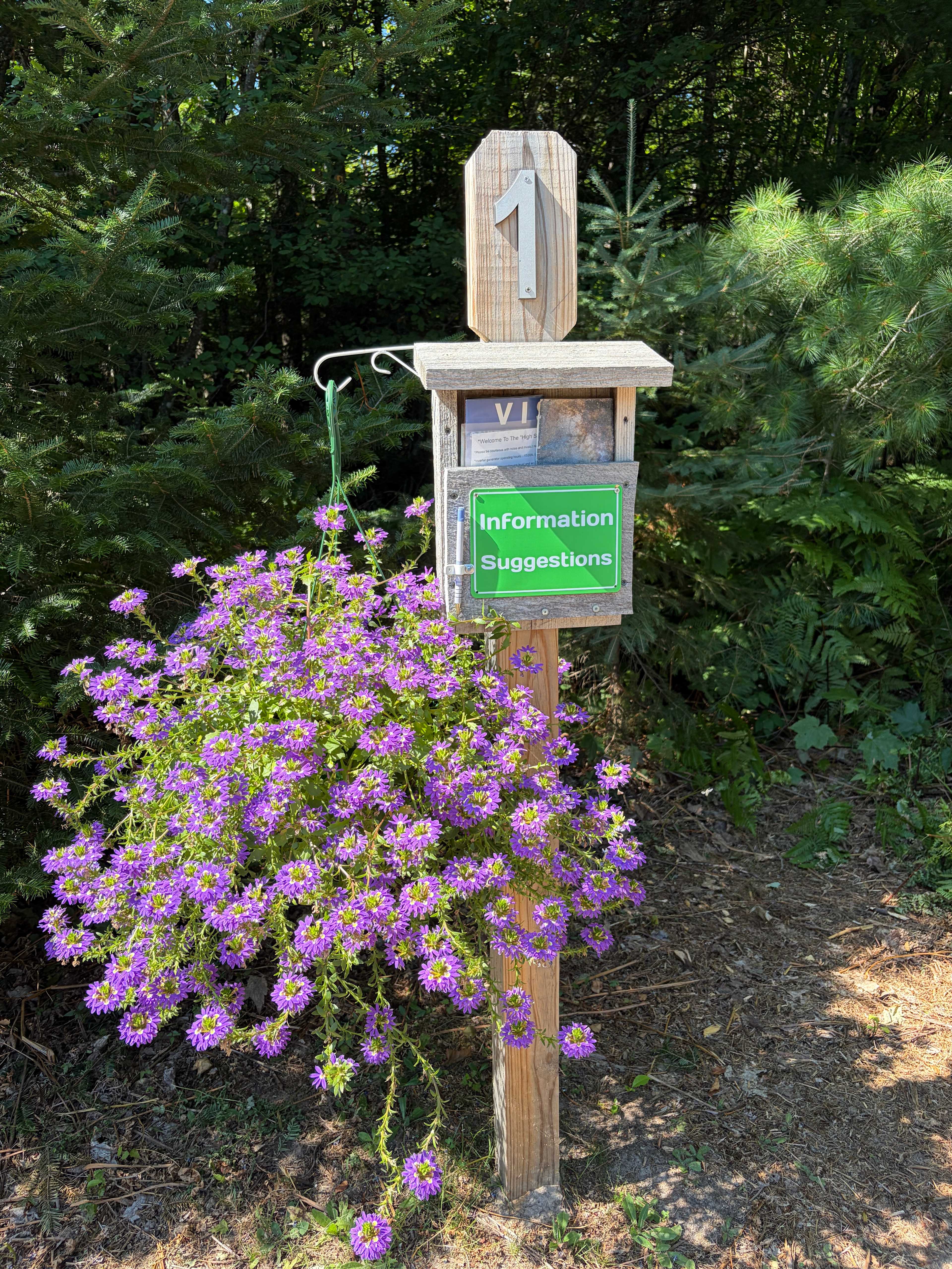 Flowers at each site and info