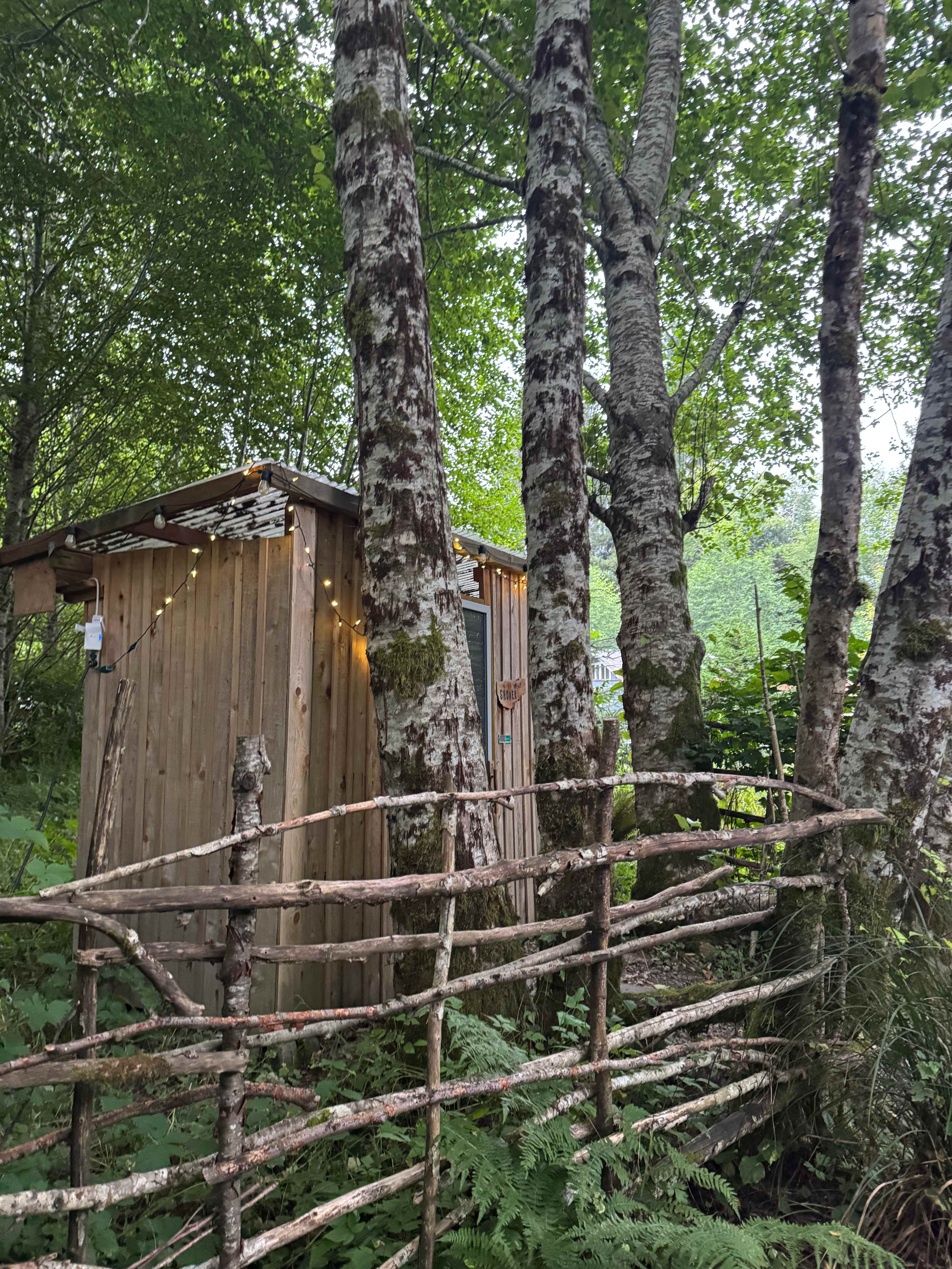 hot cedar shower