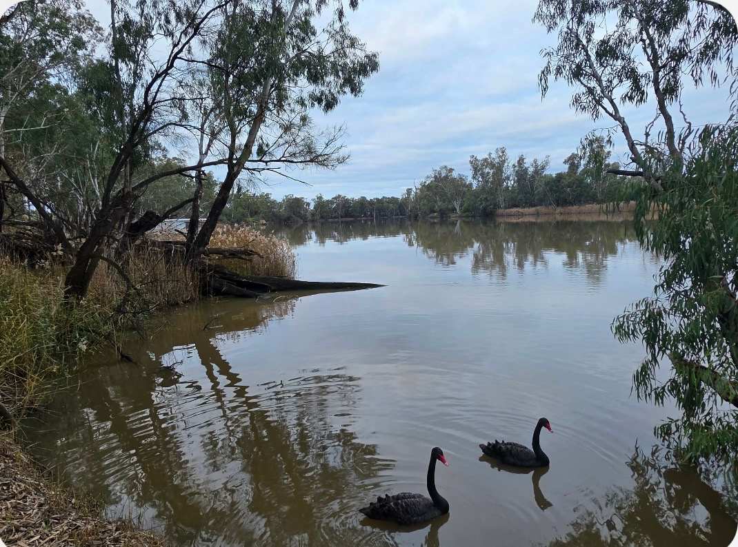 Rondel River Reserve