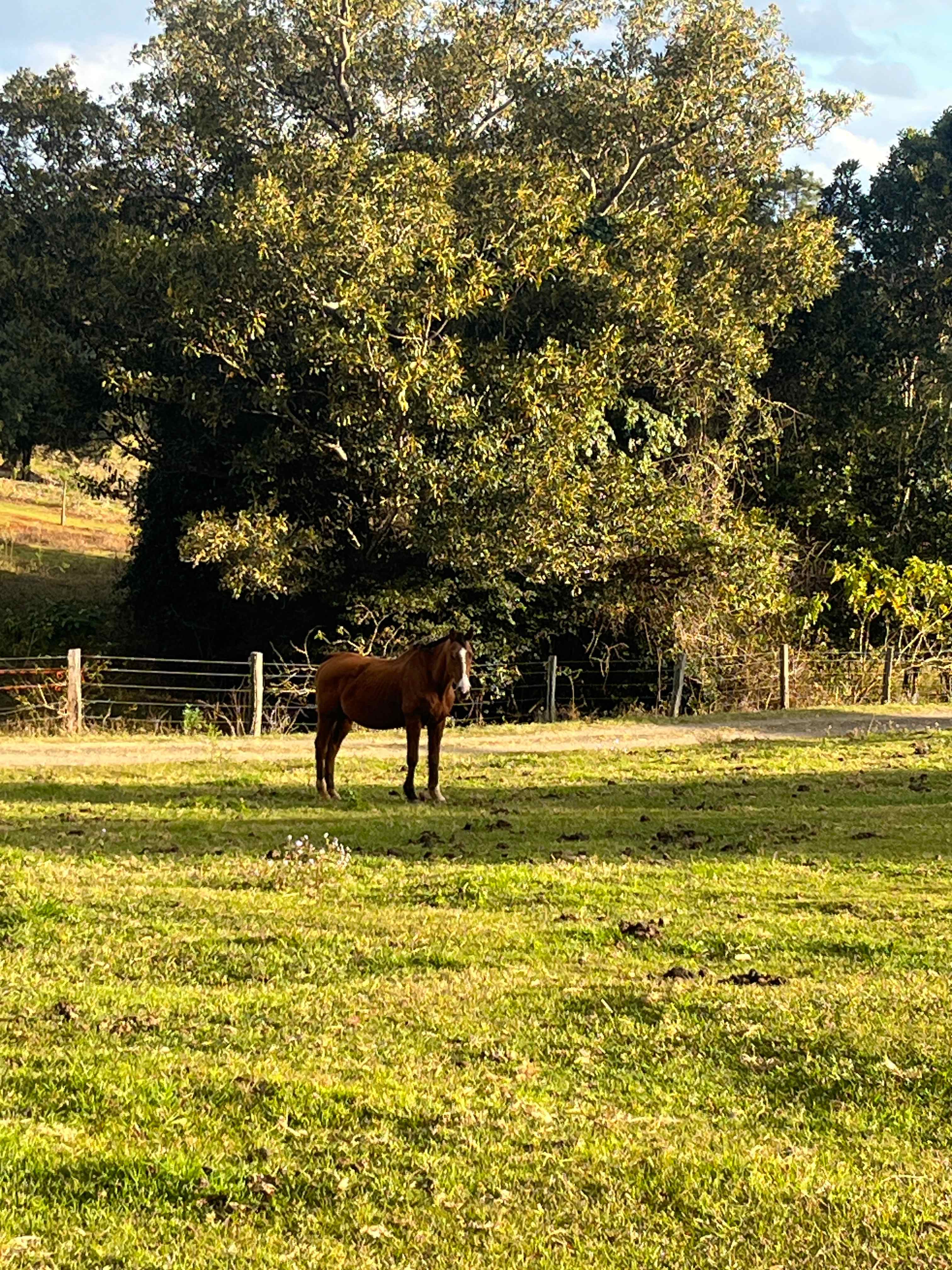 Restful Ridges