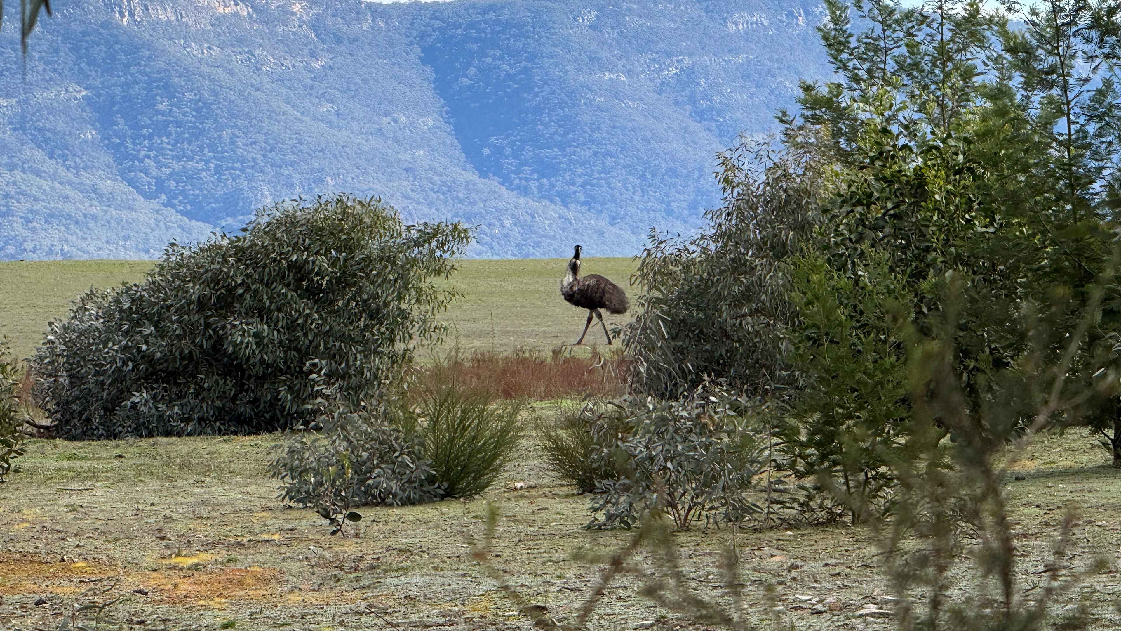 Grampians Old Man Emu Stay