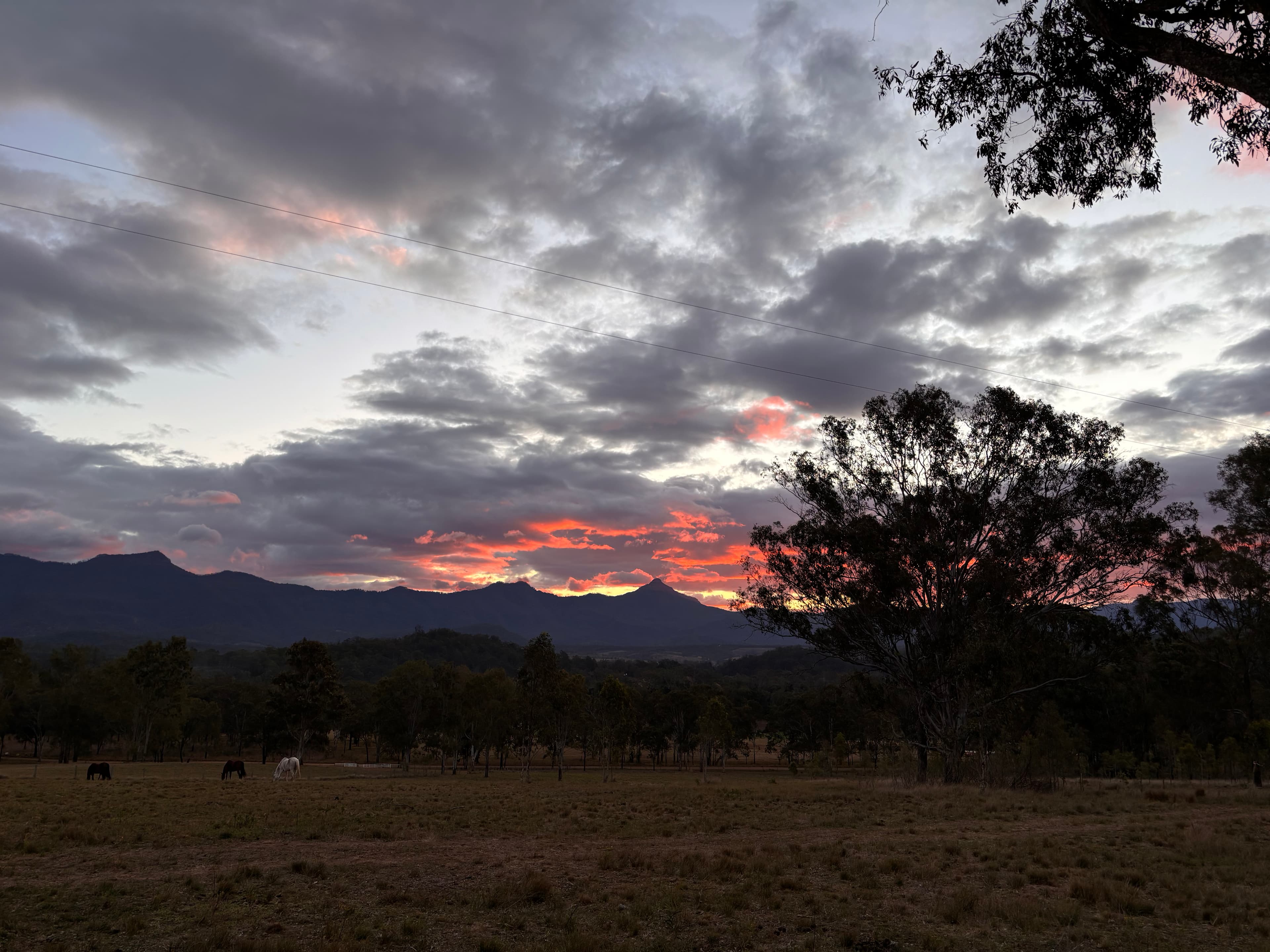Range View Moogerah