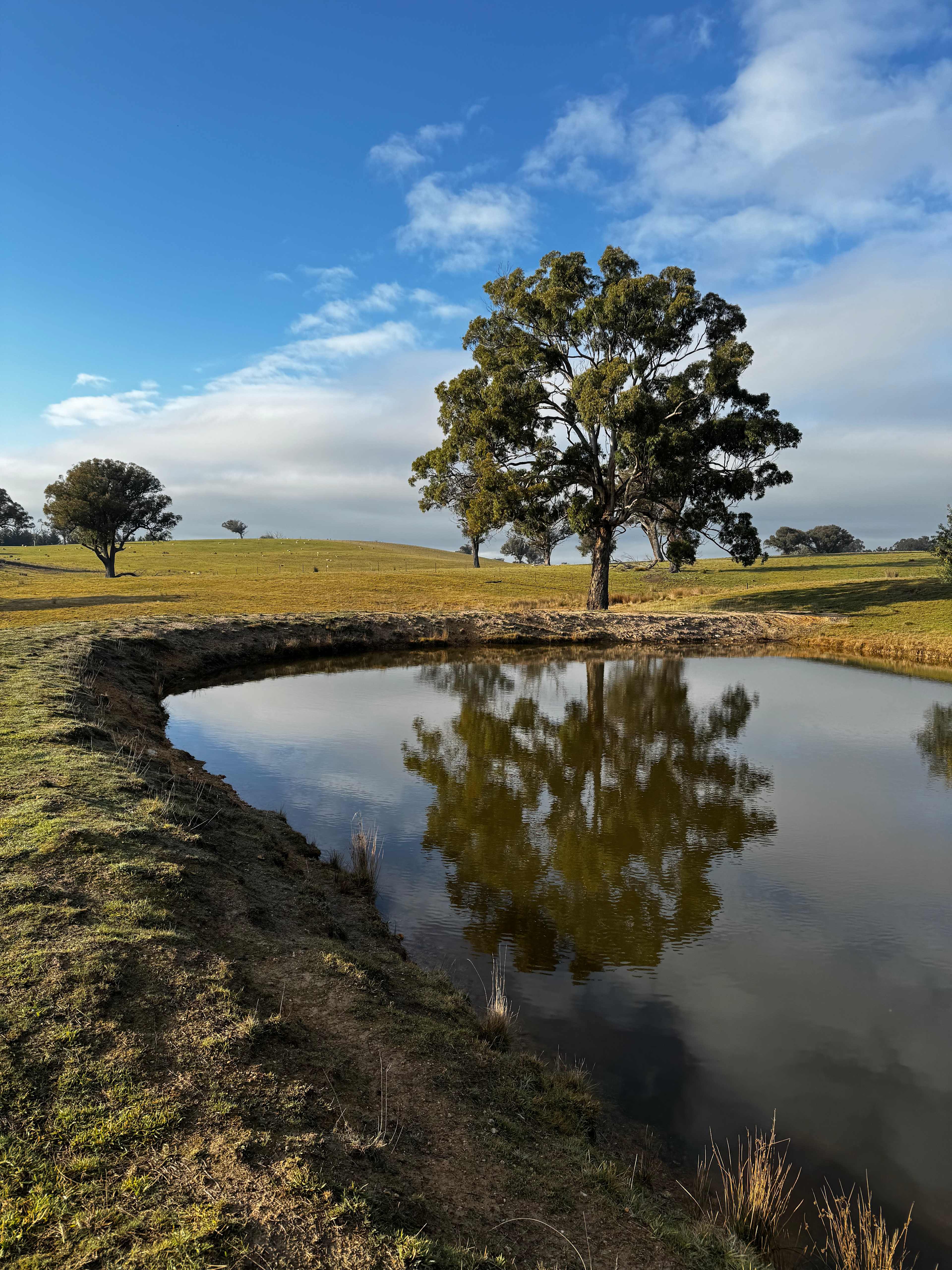 Eudora Farm