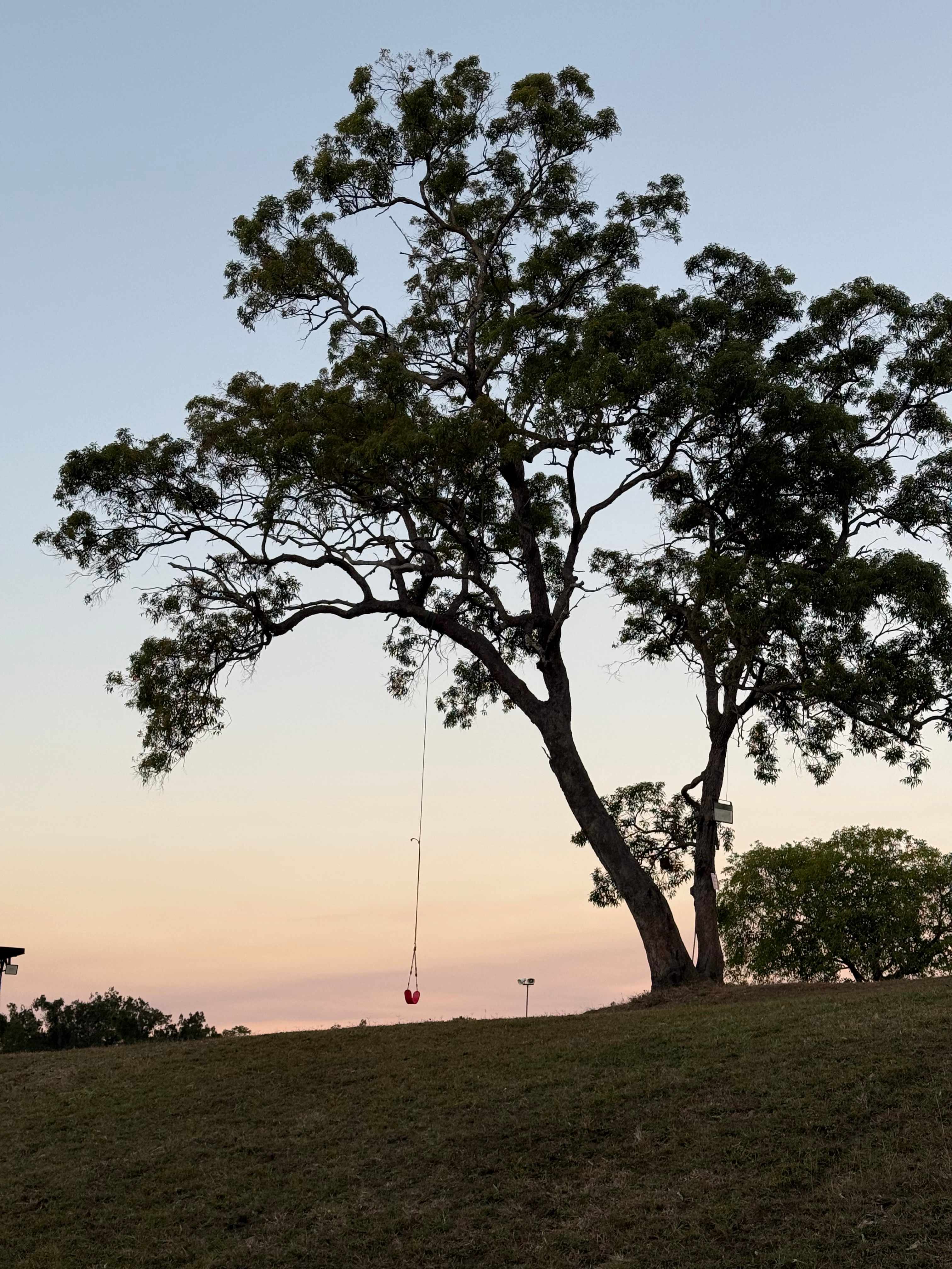 Cattle Camp, Sarina, QLD