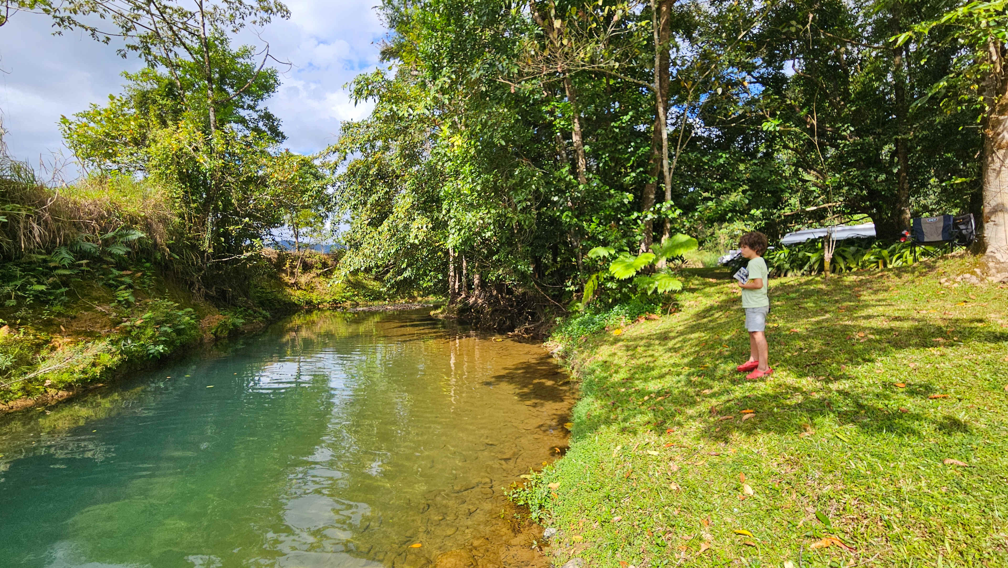Swimming hole 