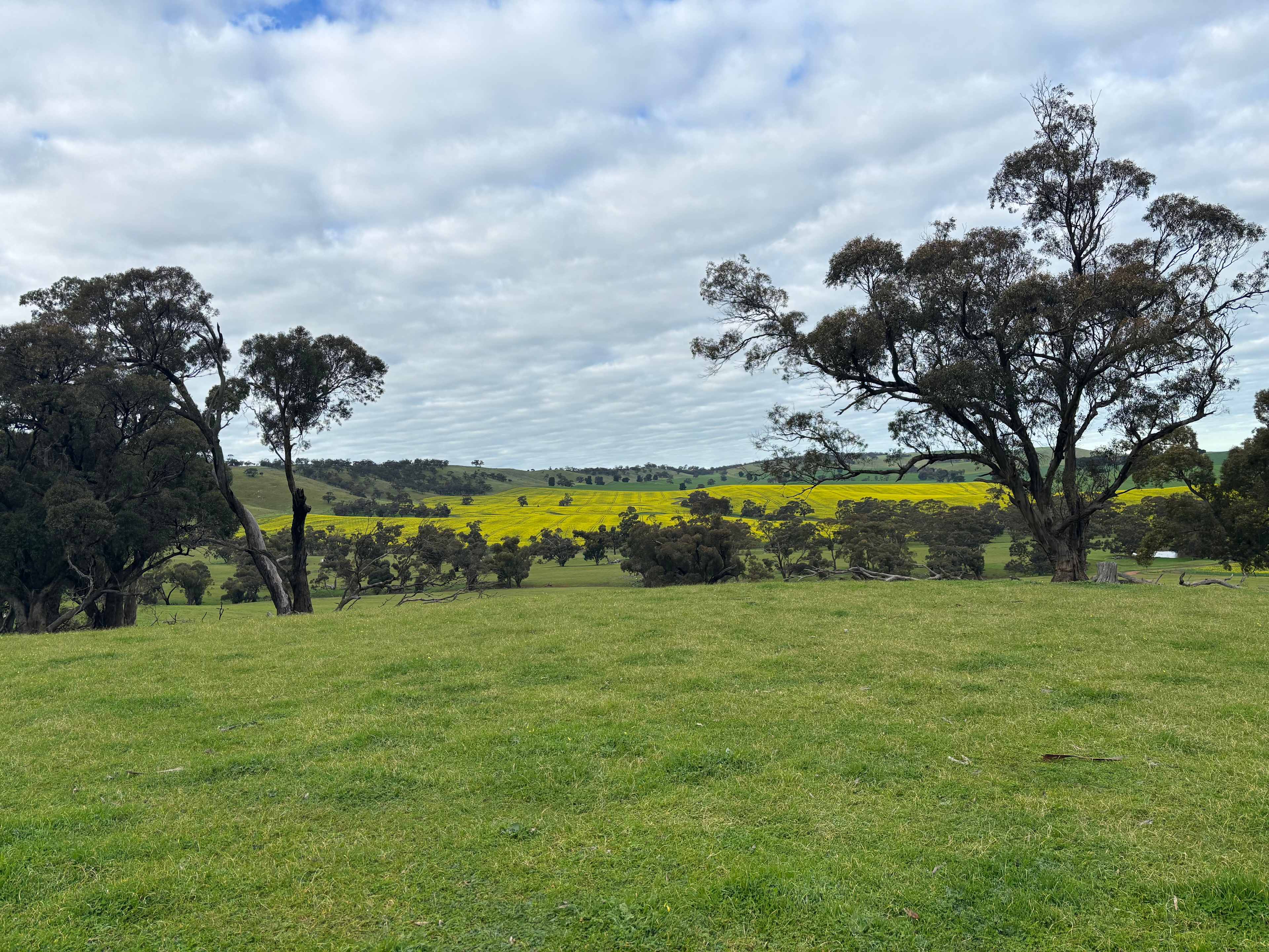 Edgehill Farm Stays Riverton