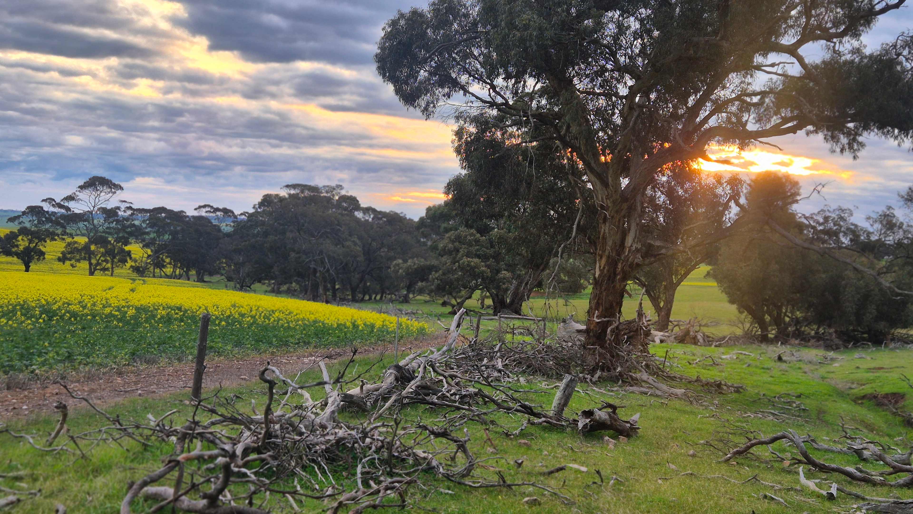 Edgehill Farm Stays Riverton