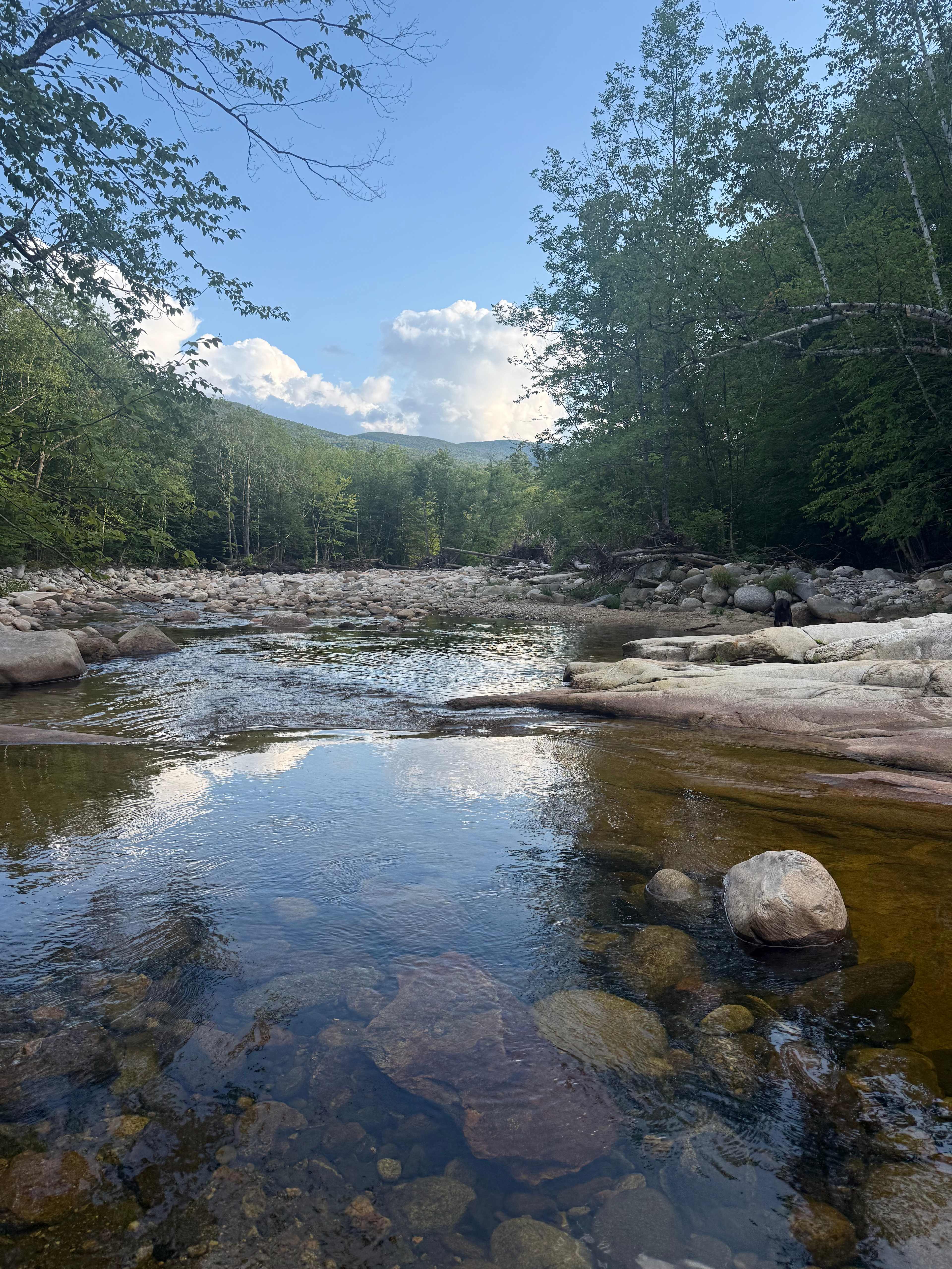 Incredibly beautiful and private access to river
