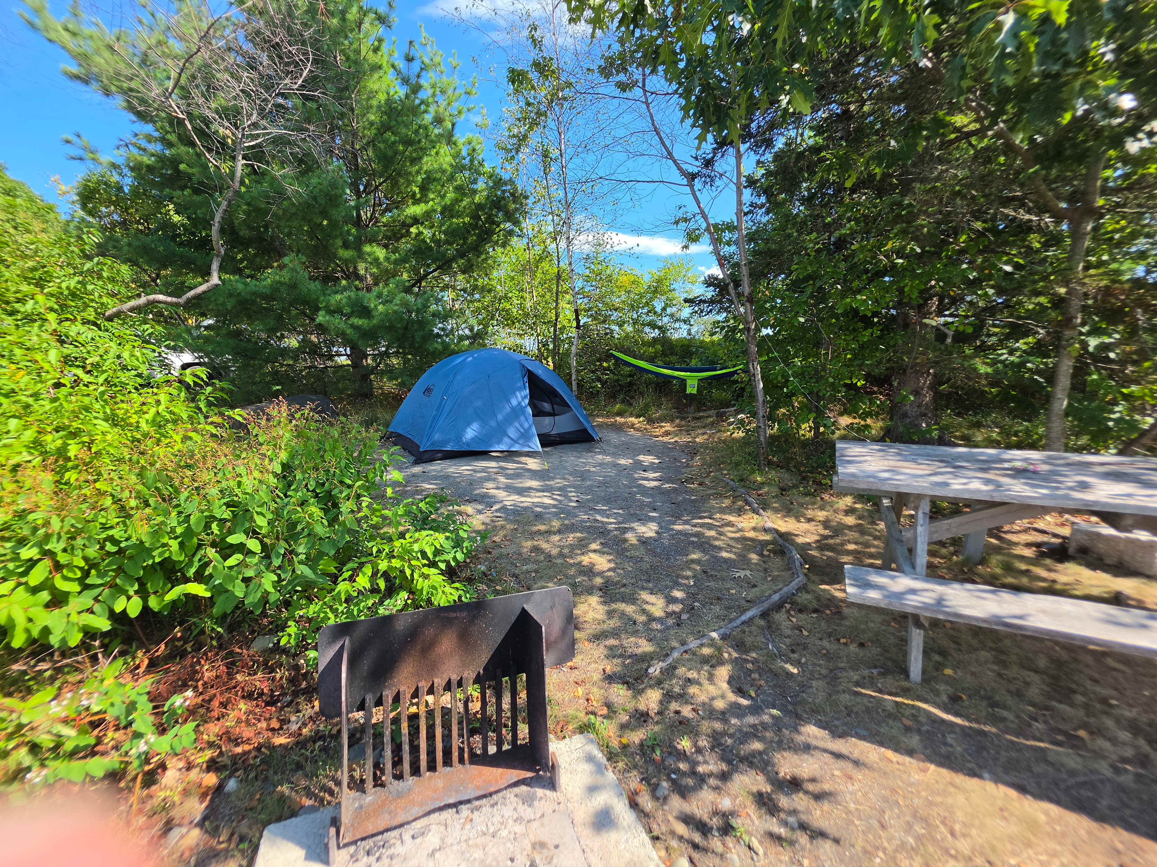 Picture of the site