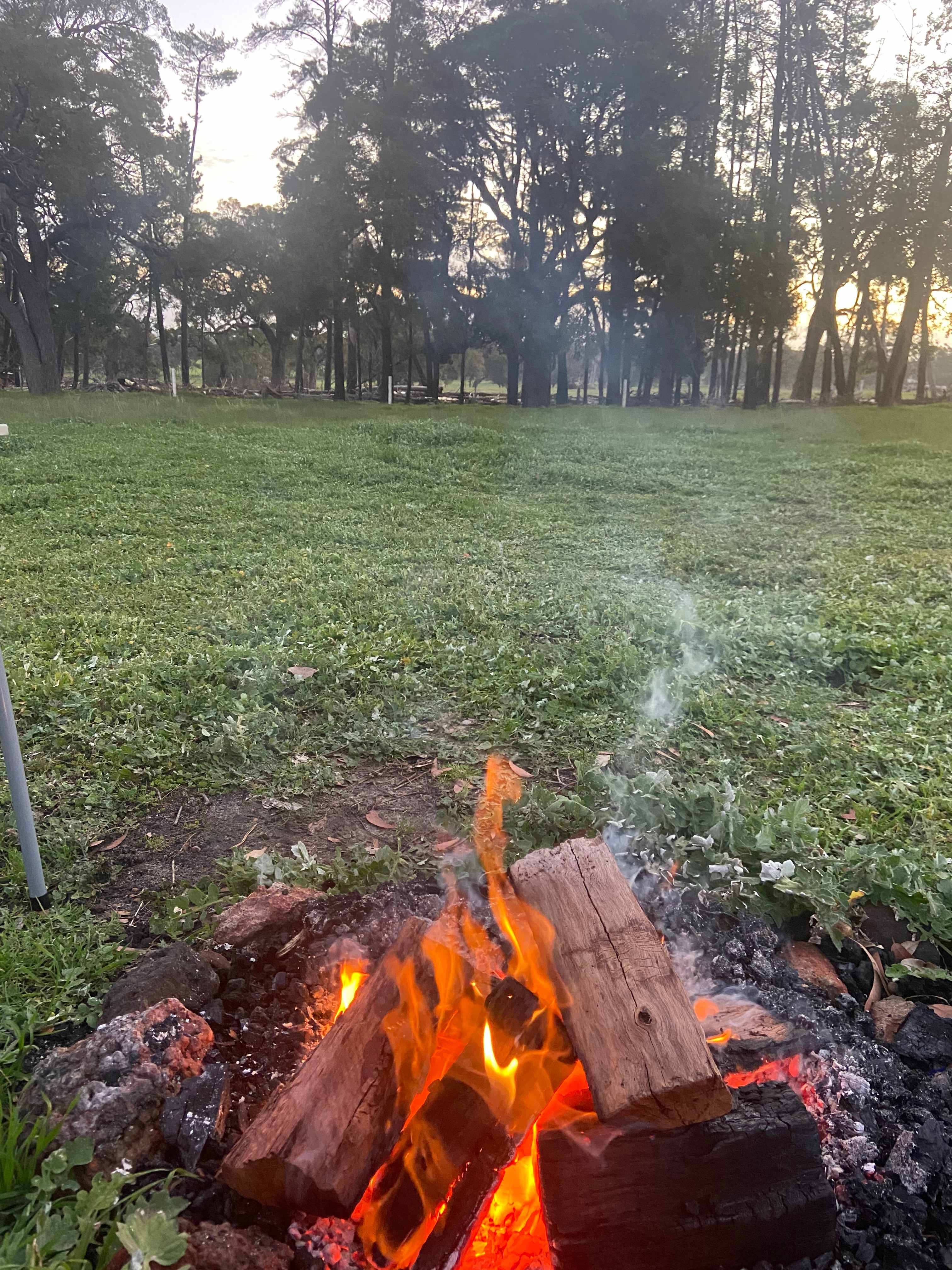 Jacaranda Hill Farm