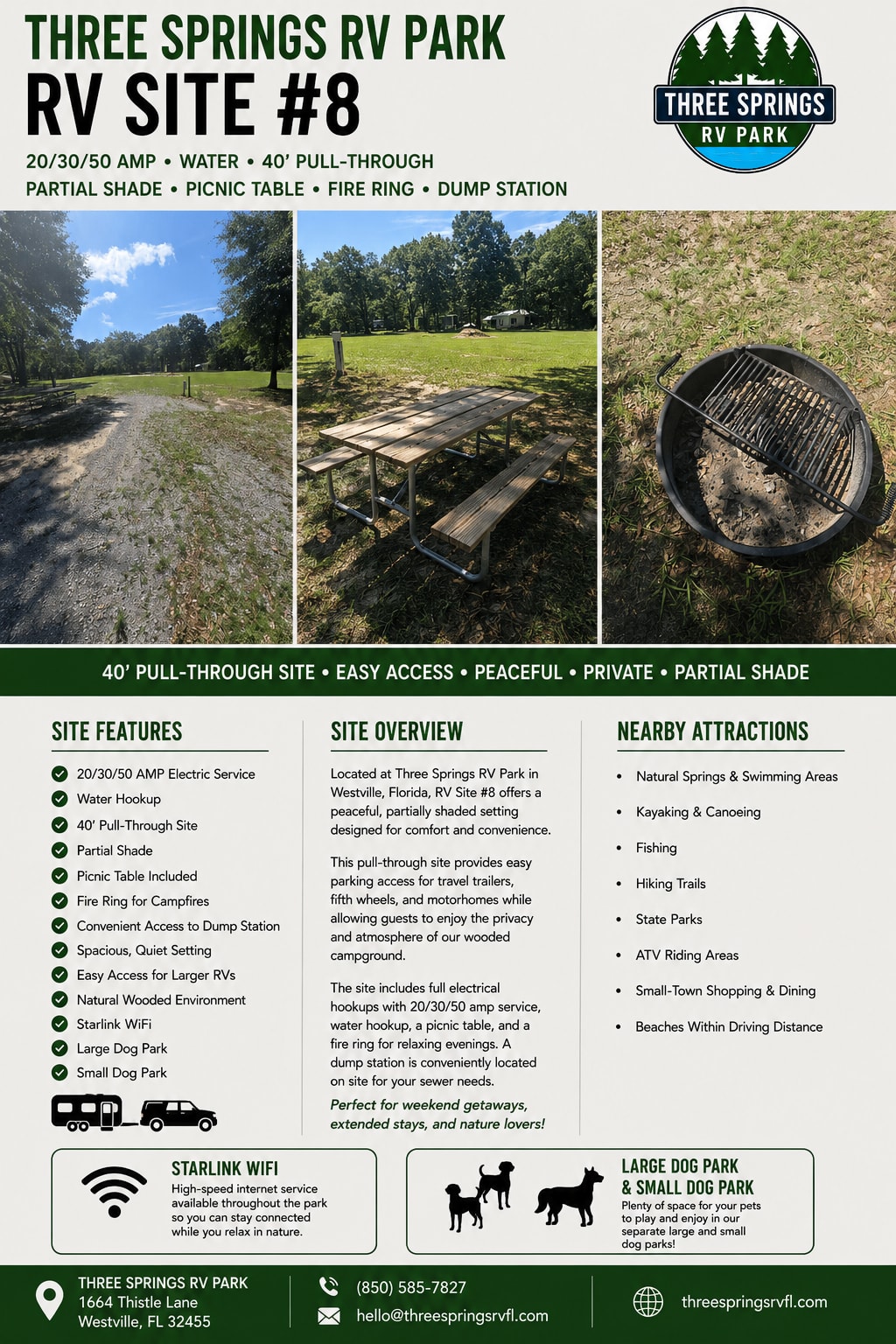 Picture of the site