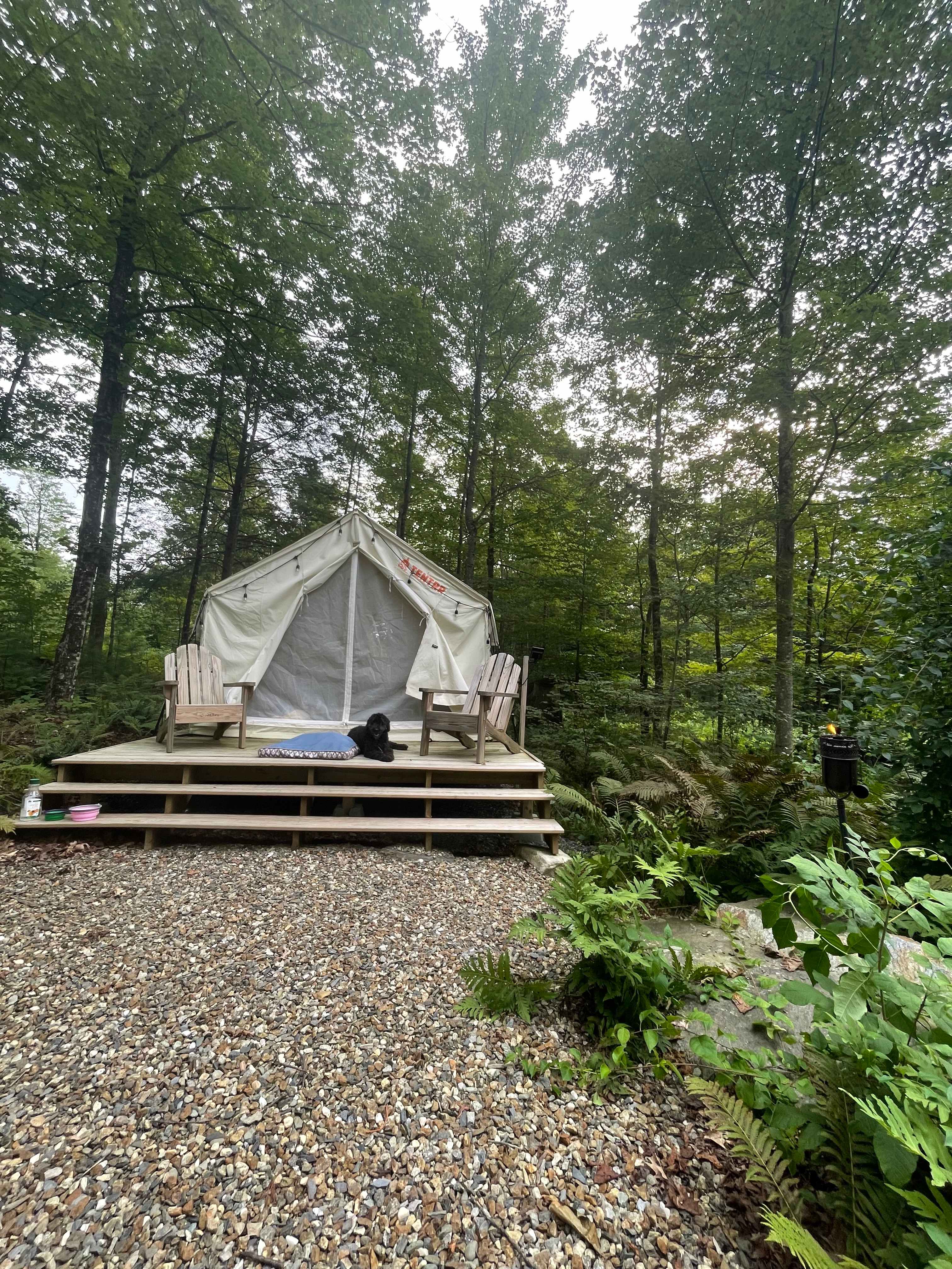 Our dog loved the tent and little platform area! Perfect space for a morning yoga session.