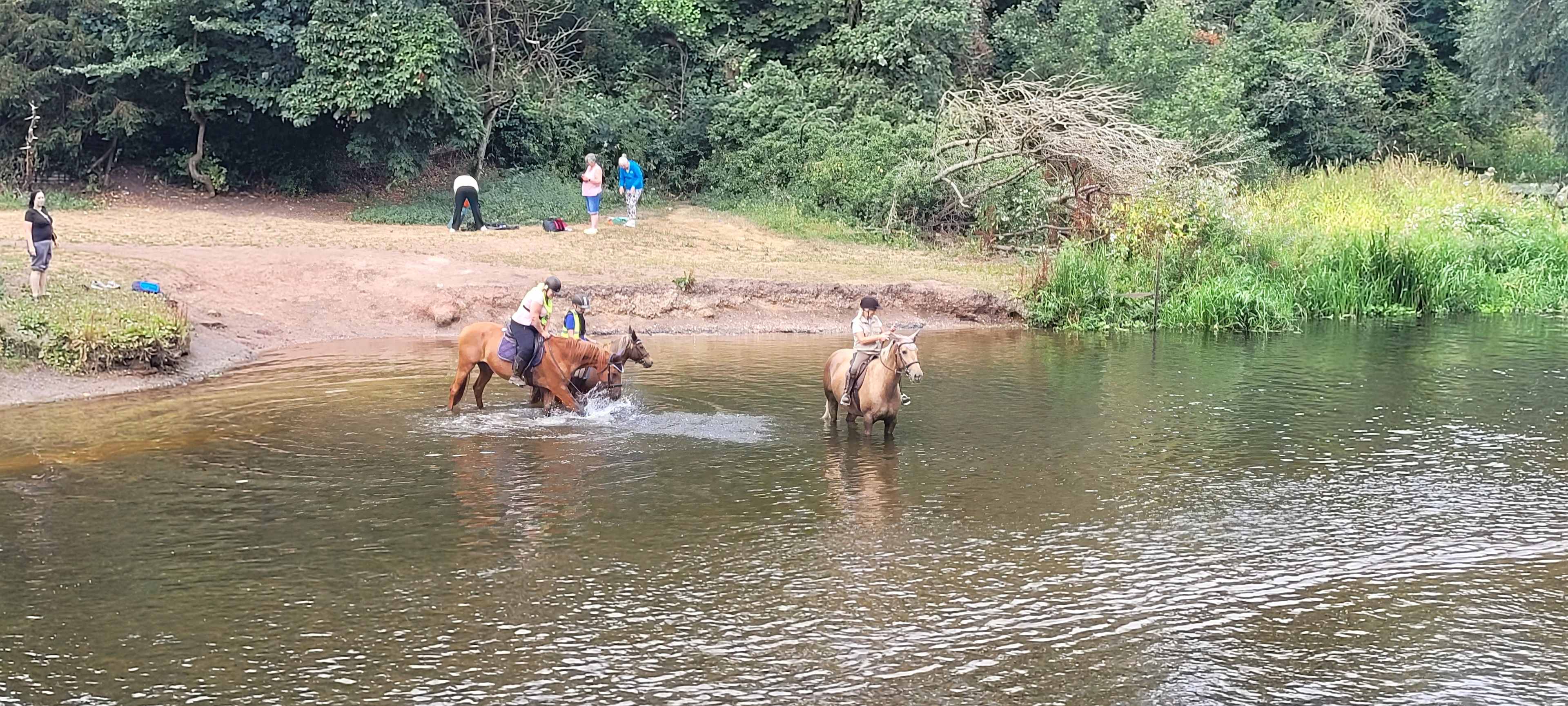 Horses in the near River. People were having a splash later in the day