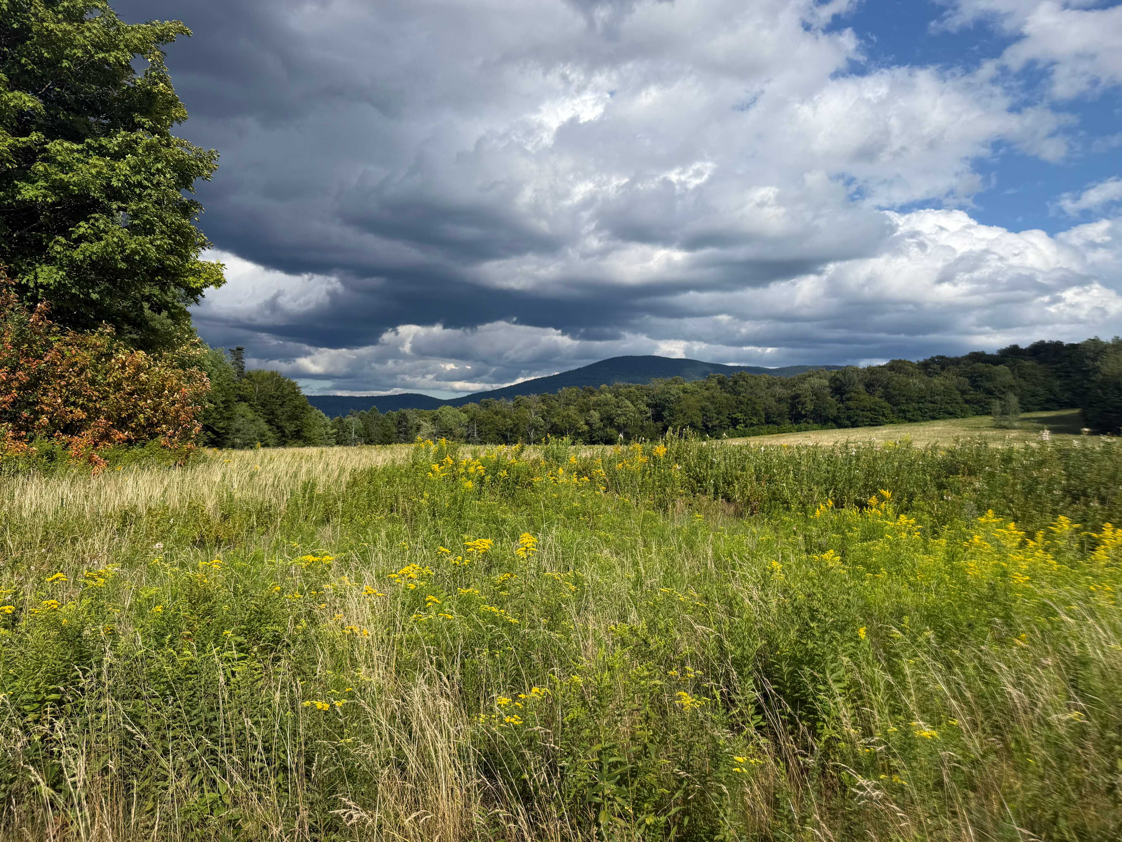 Grateful Acres Vermont