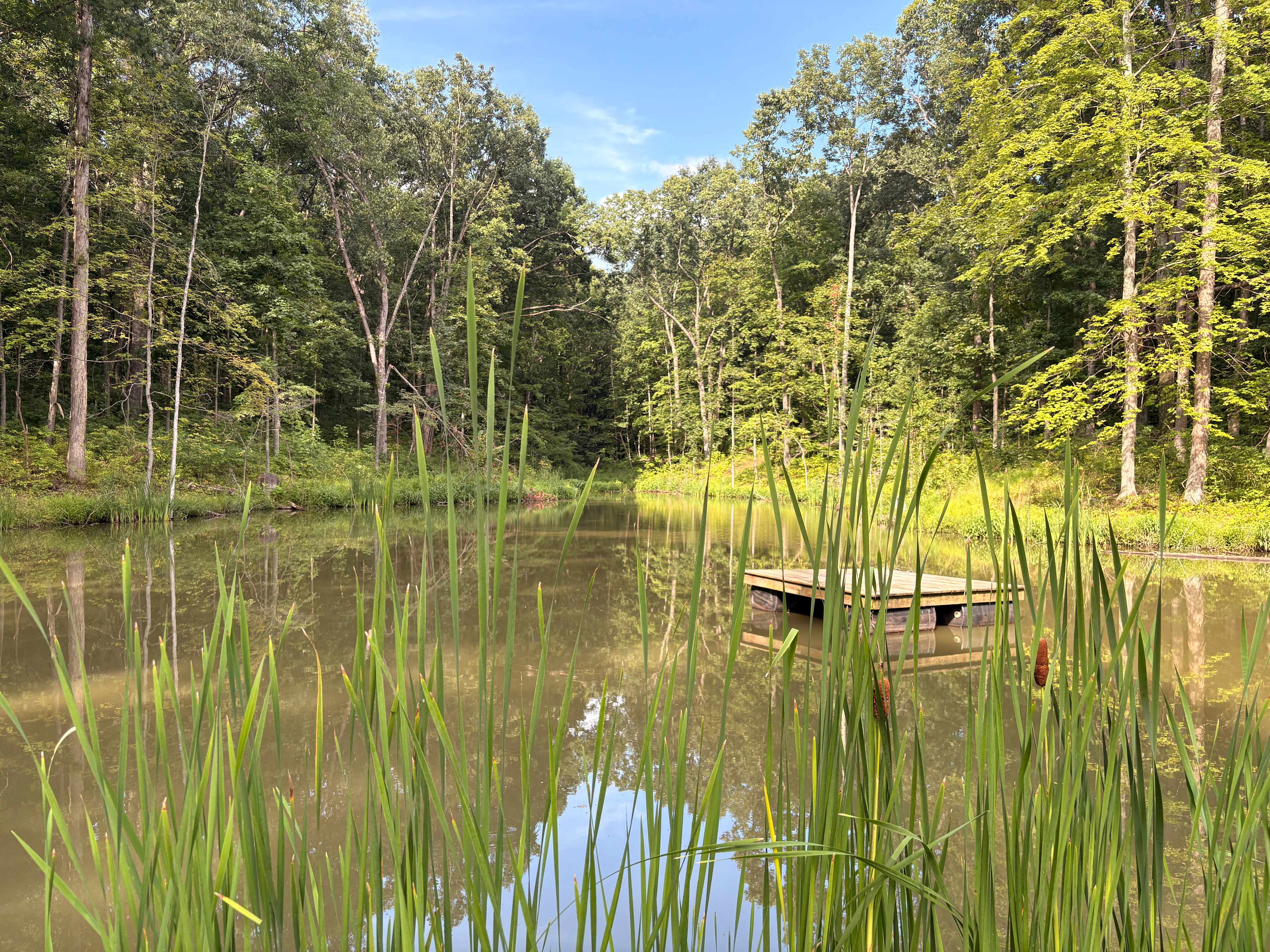 Pond onsite