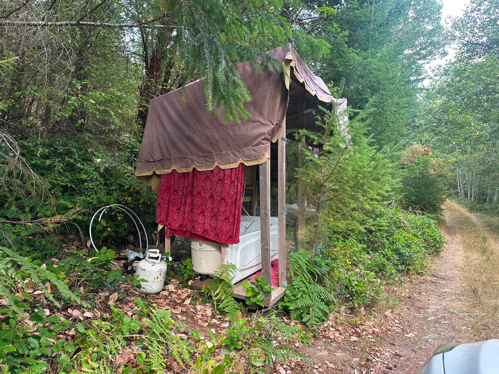 Picture of the site