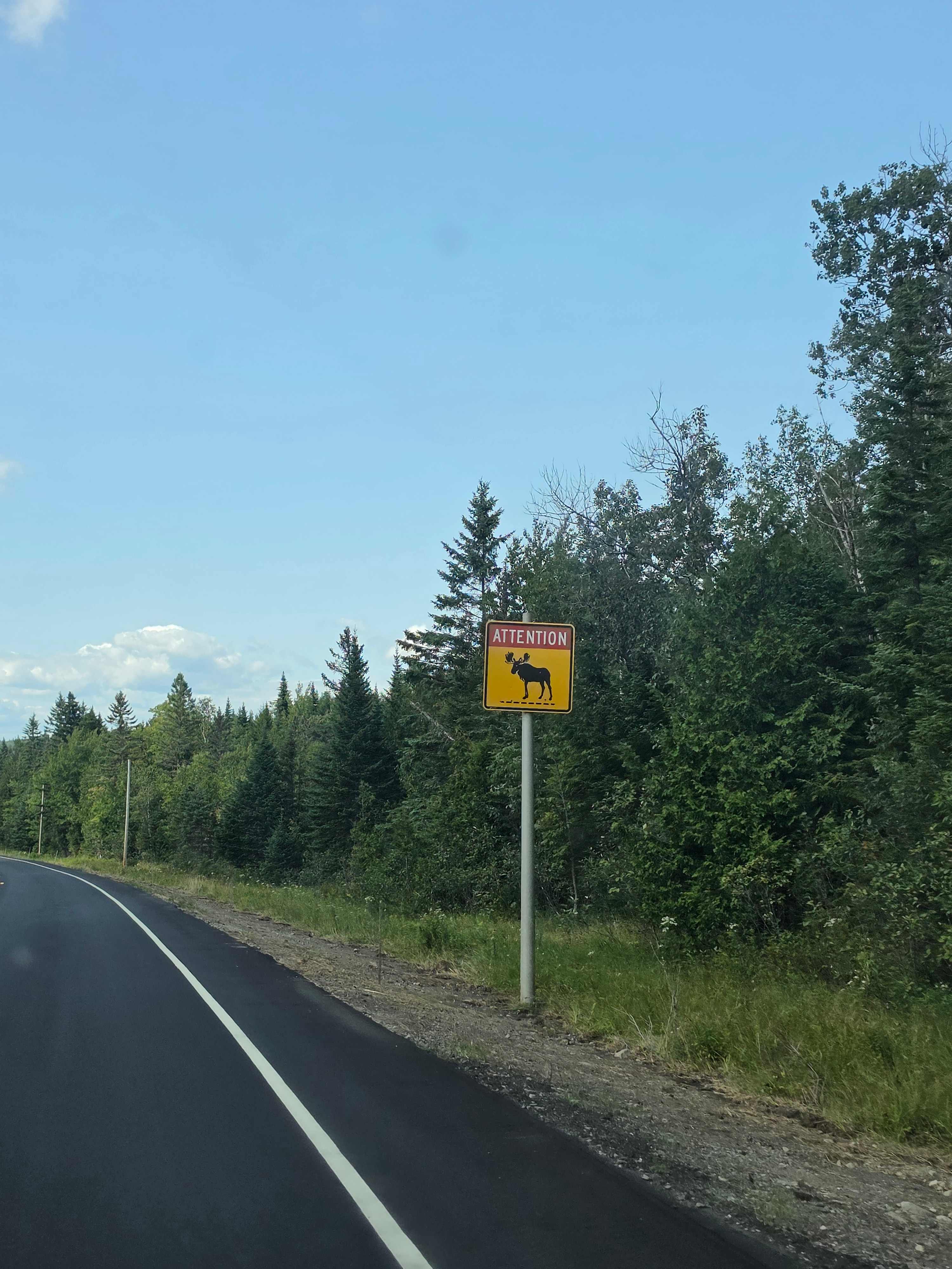A few minutes drive up ahead of the campground!