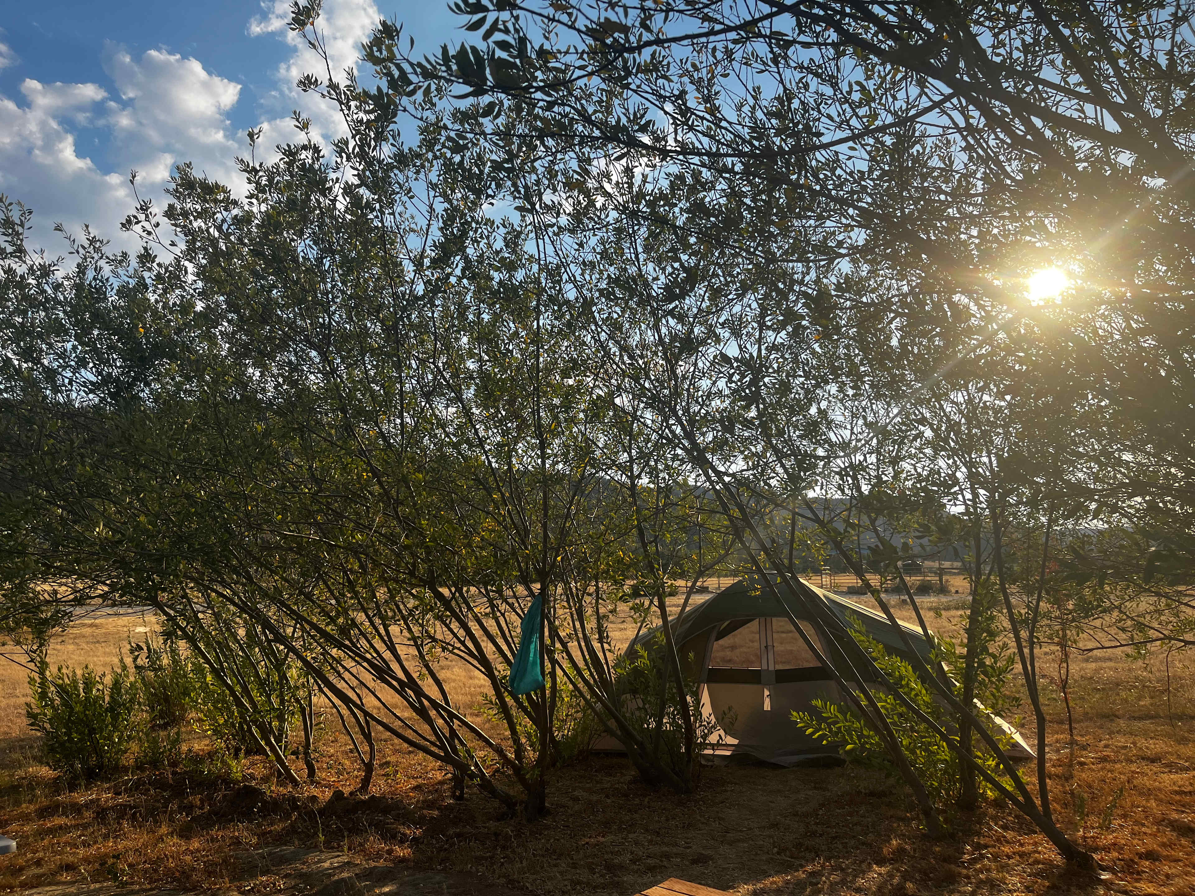Lane Creek Reserve