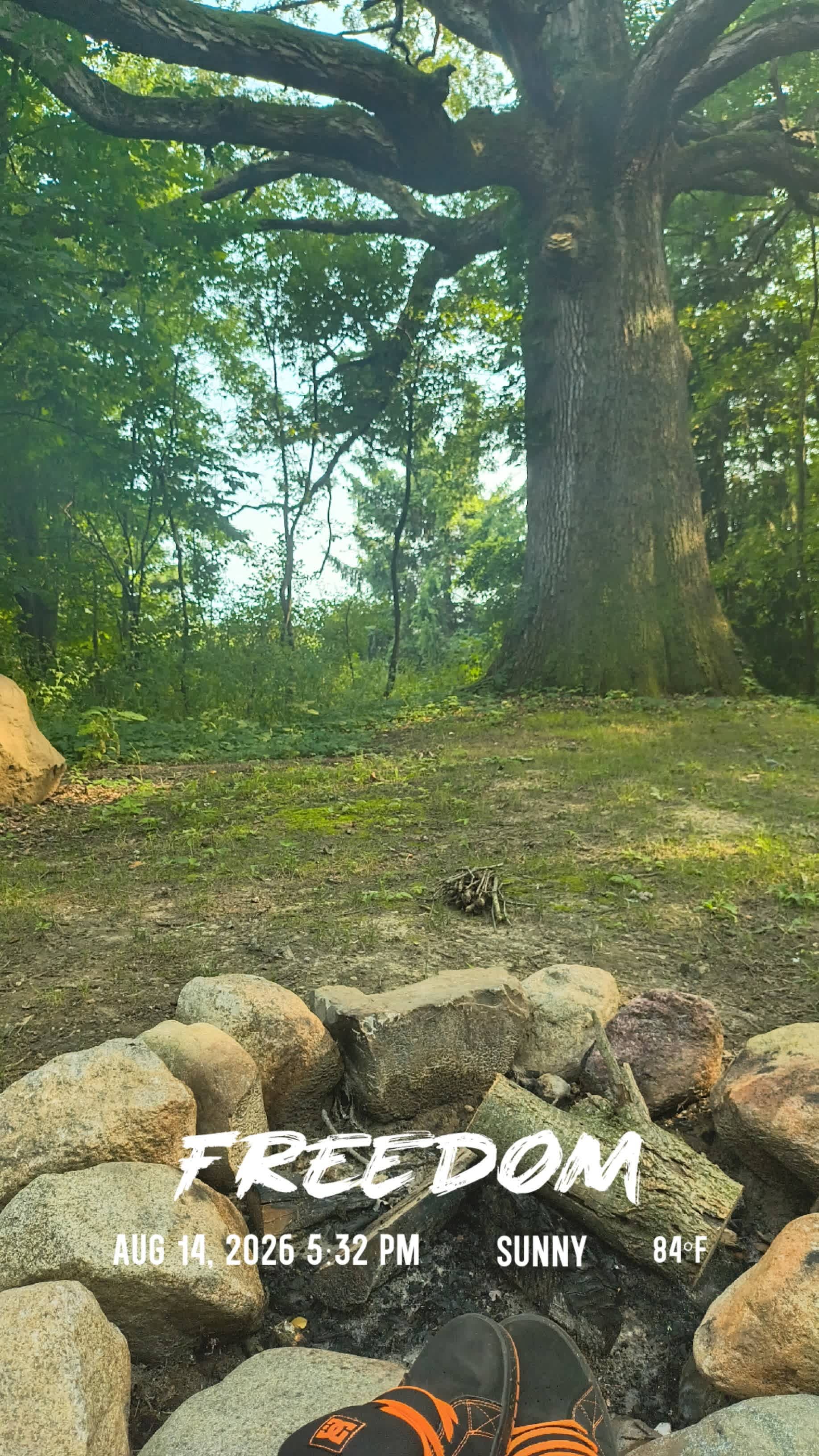 Boone Farm & Forest